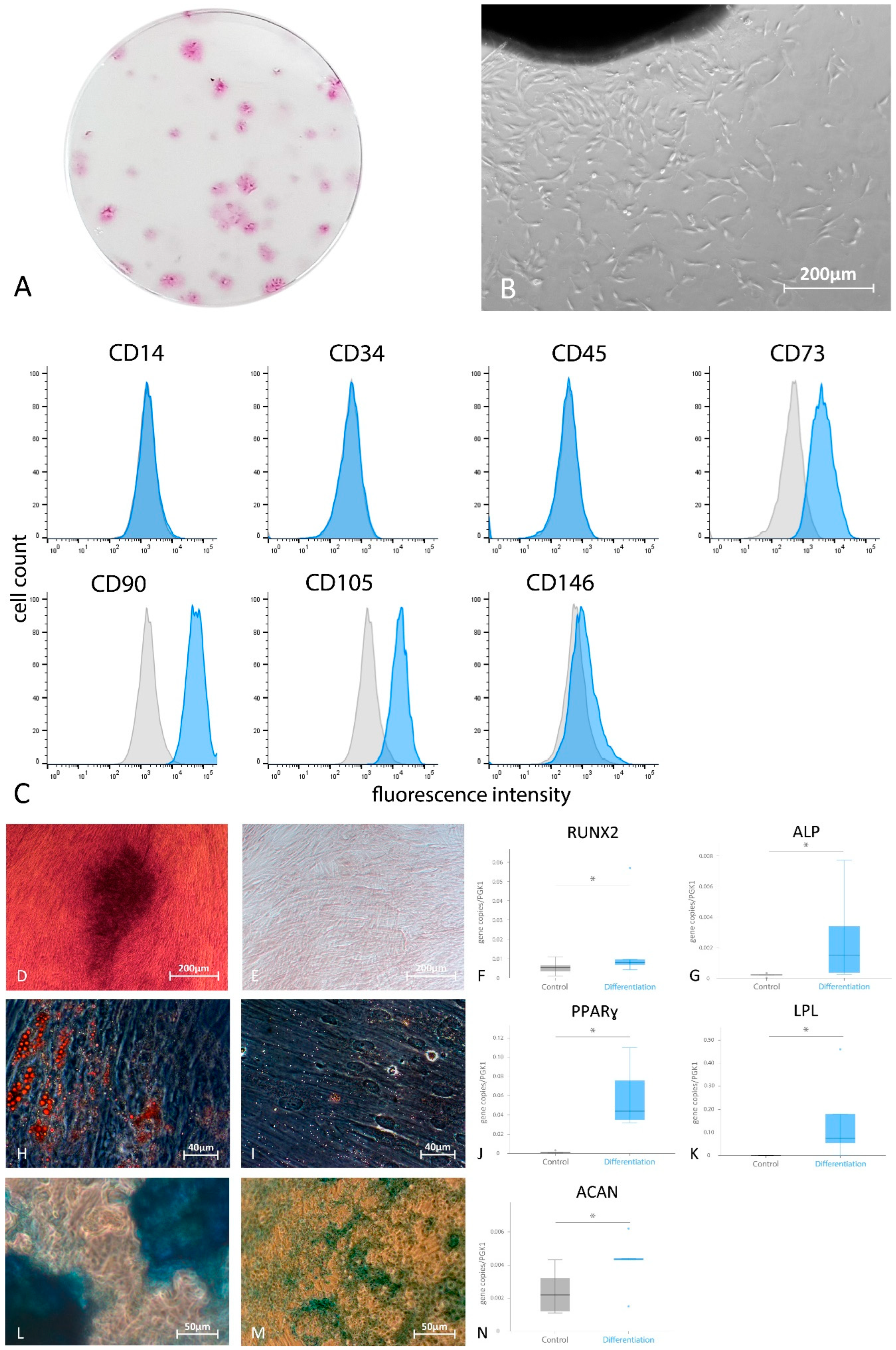Cells 11 01452 g002 Cells 11 01452 g002