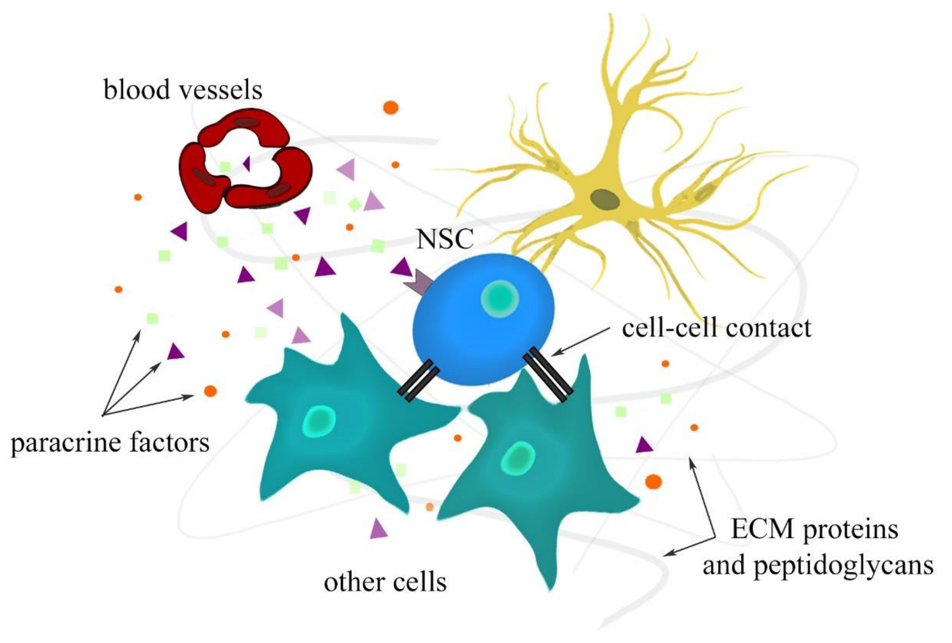 Cells 11 01464 g002