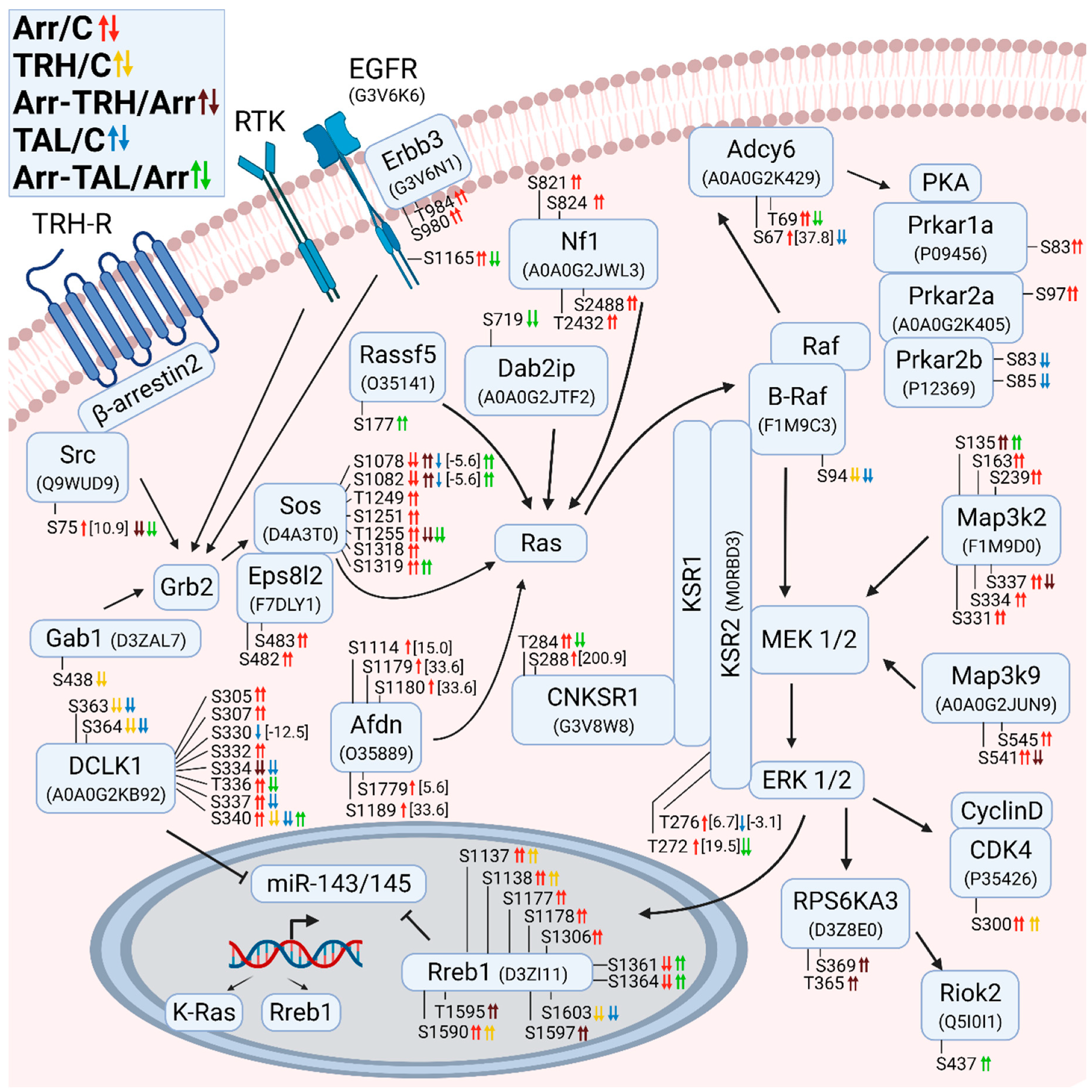 Cells 11 01473 g002 Cells 11 01473 g002