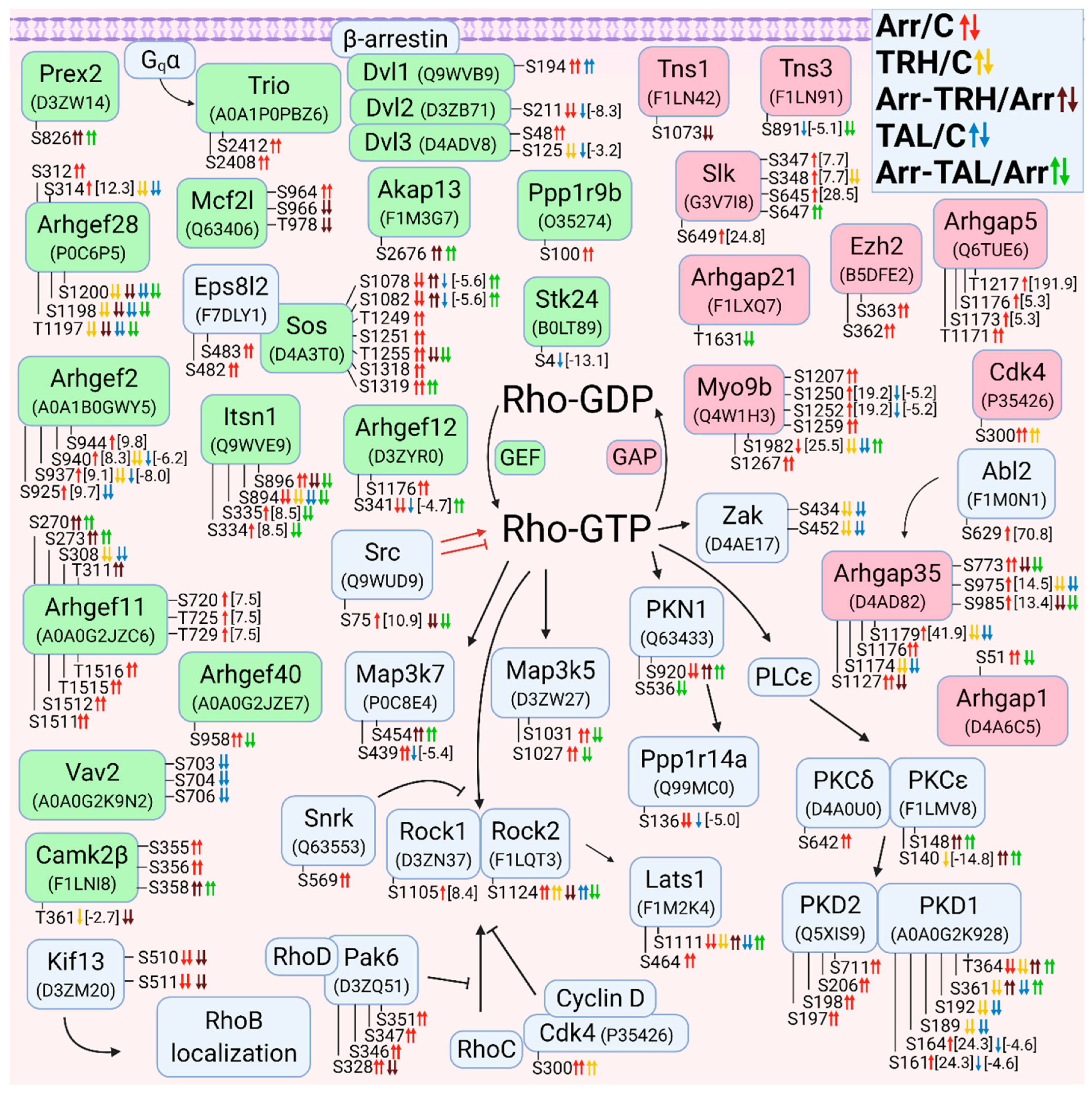 Cells 11 01473 g003 Cells 11 01473 g003