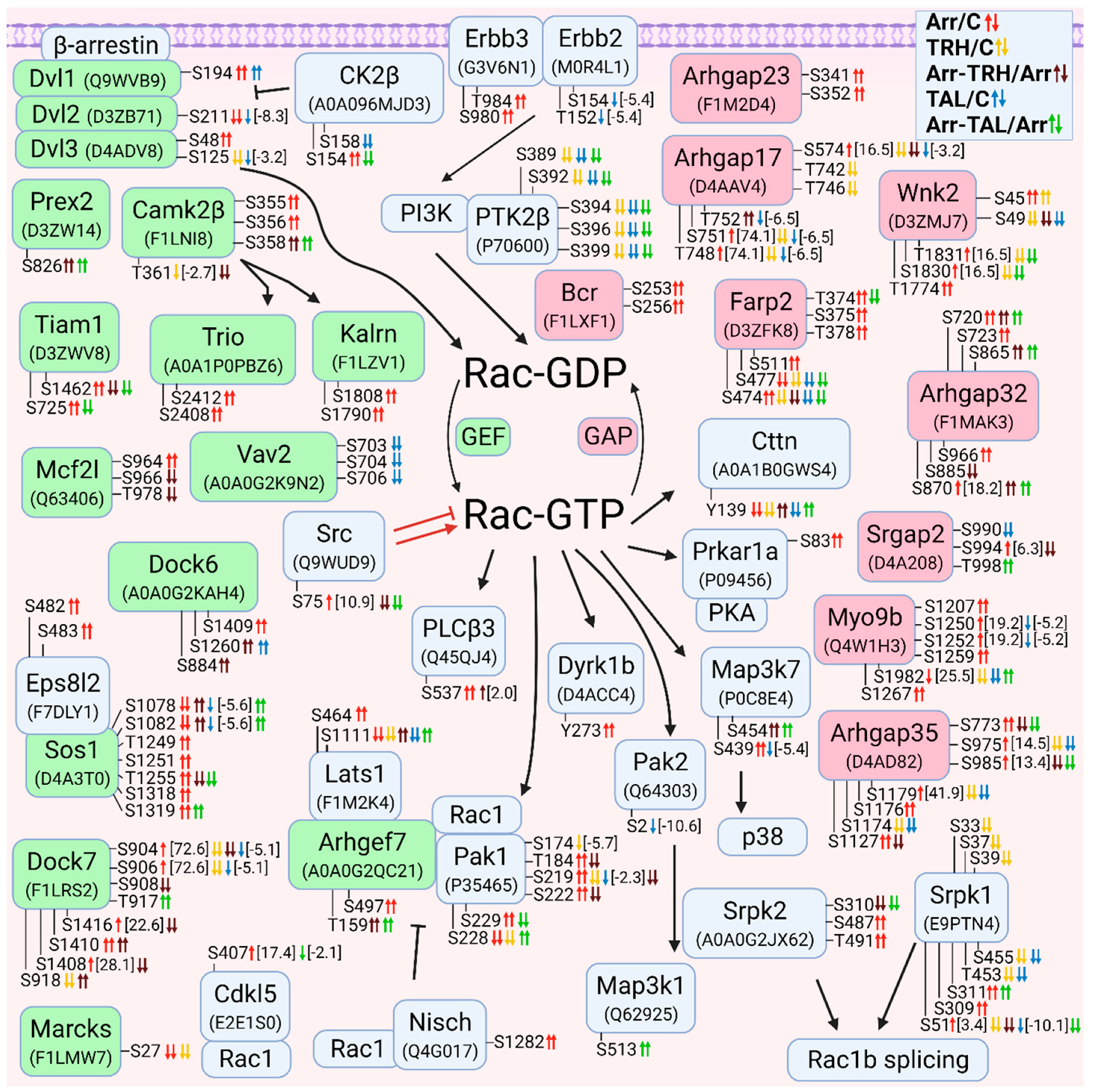 Cells 11 01473 g004 Cells 11 01473 g004