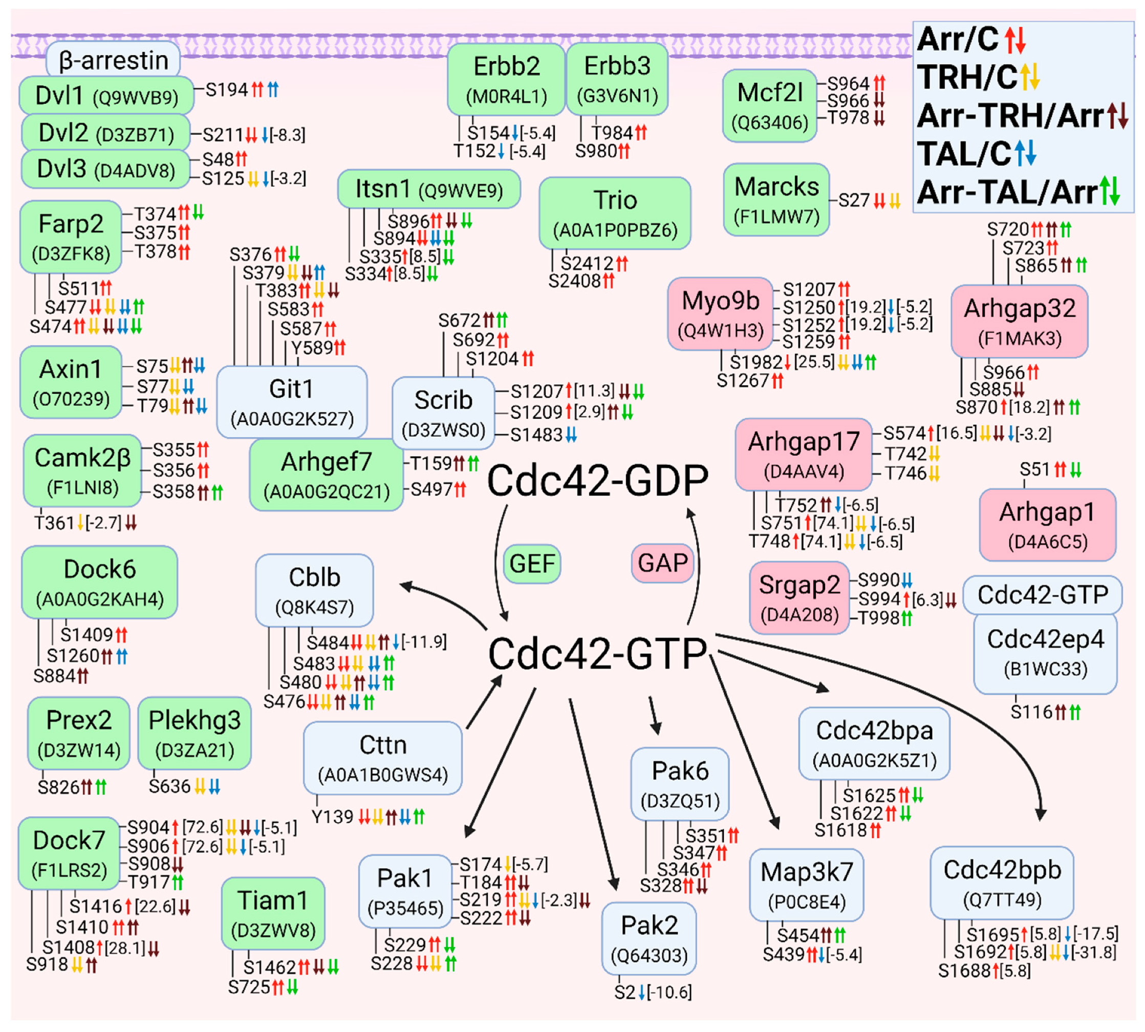 Cells 11 01473 g005 Cells 11 01473 g005