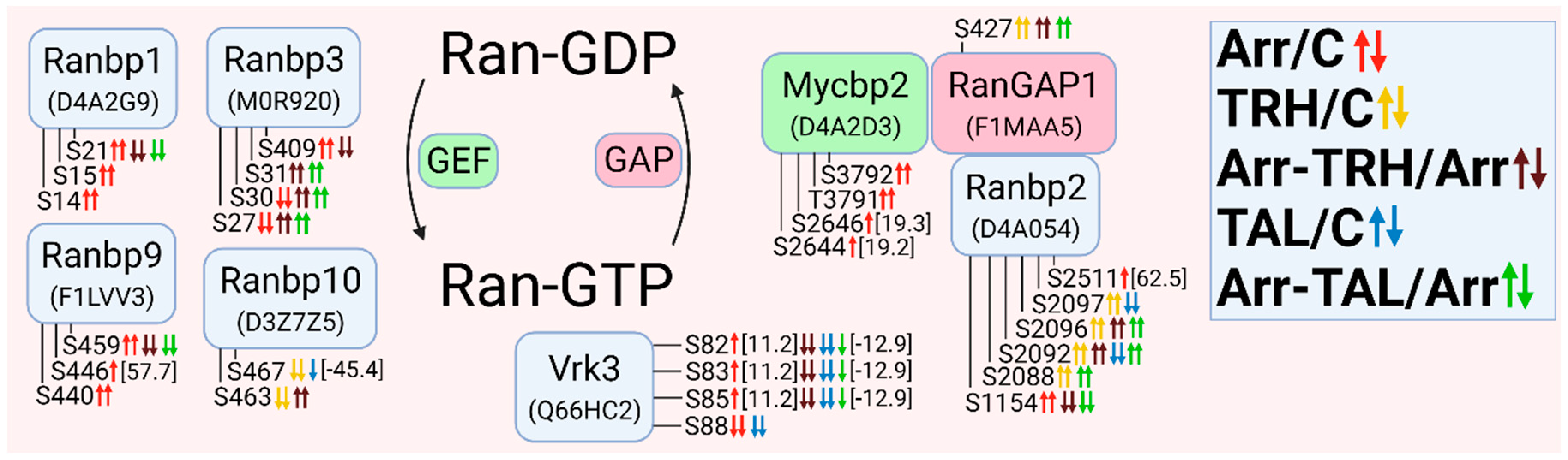 Cells 11 01473 g009 Cells 11 01473 g009