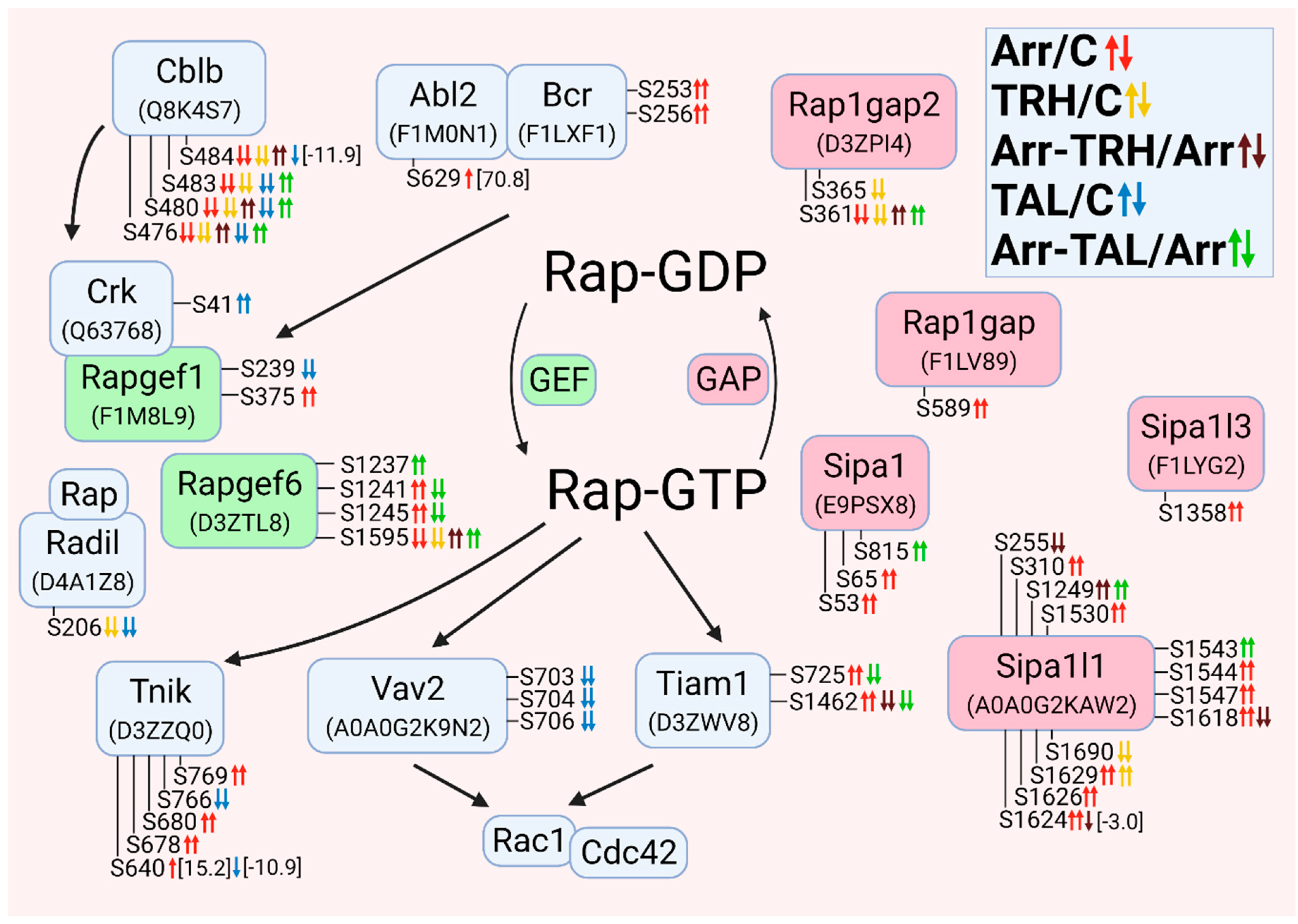 Cells 11 01473 g010 Cells 11 01473 g010
