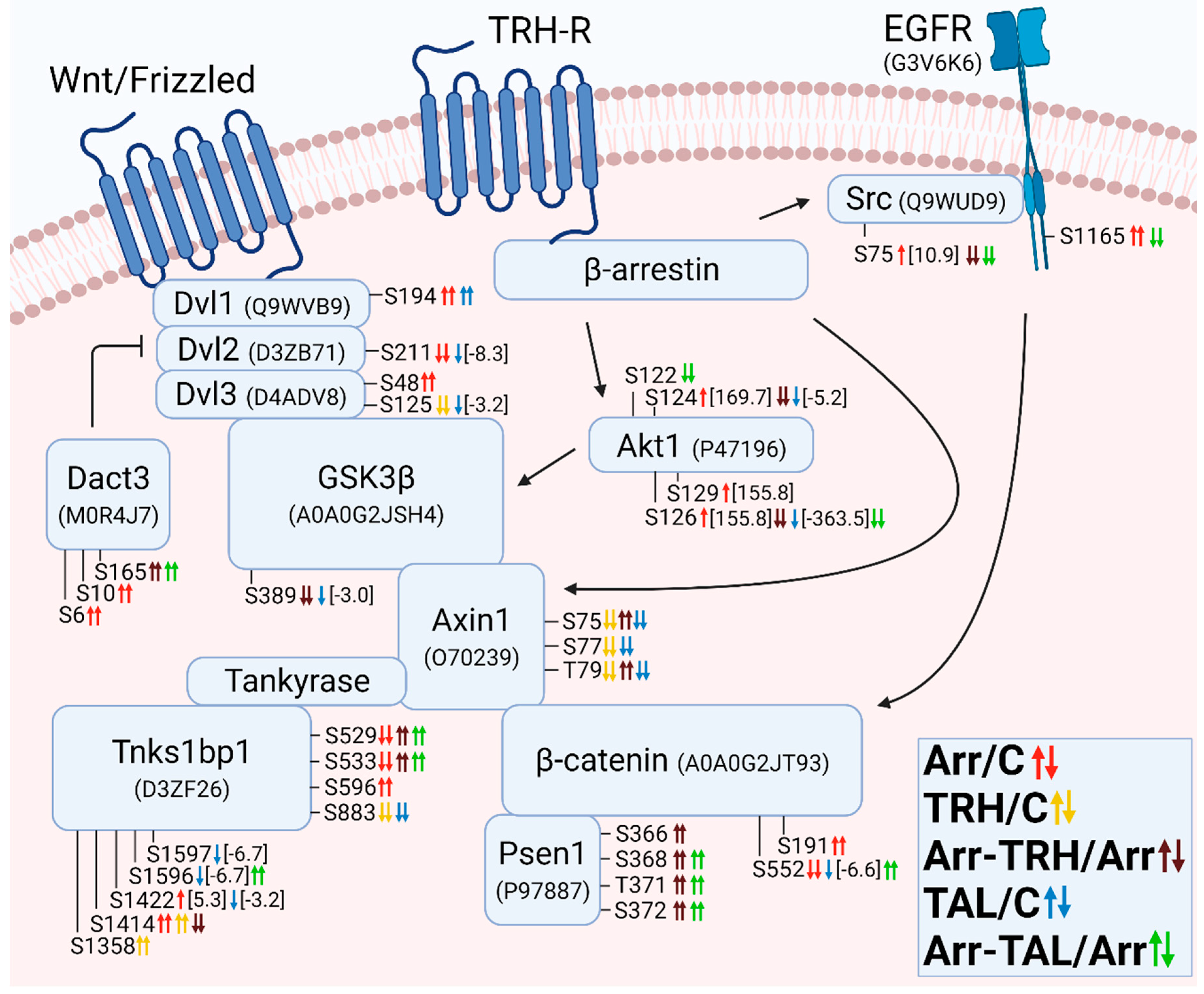 Cells 11 01473 g011 Cells 11 01473 g011