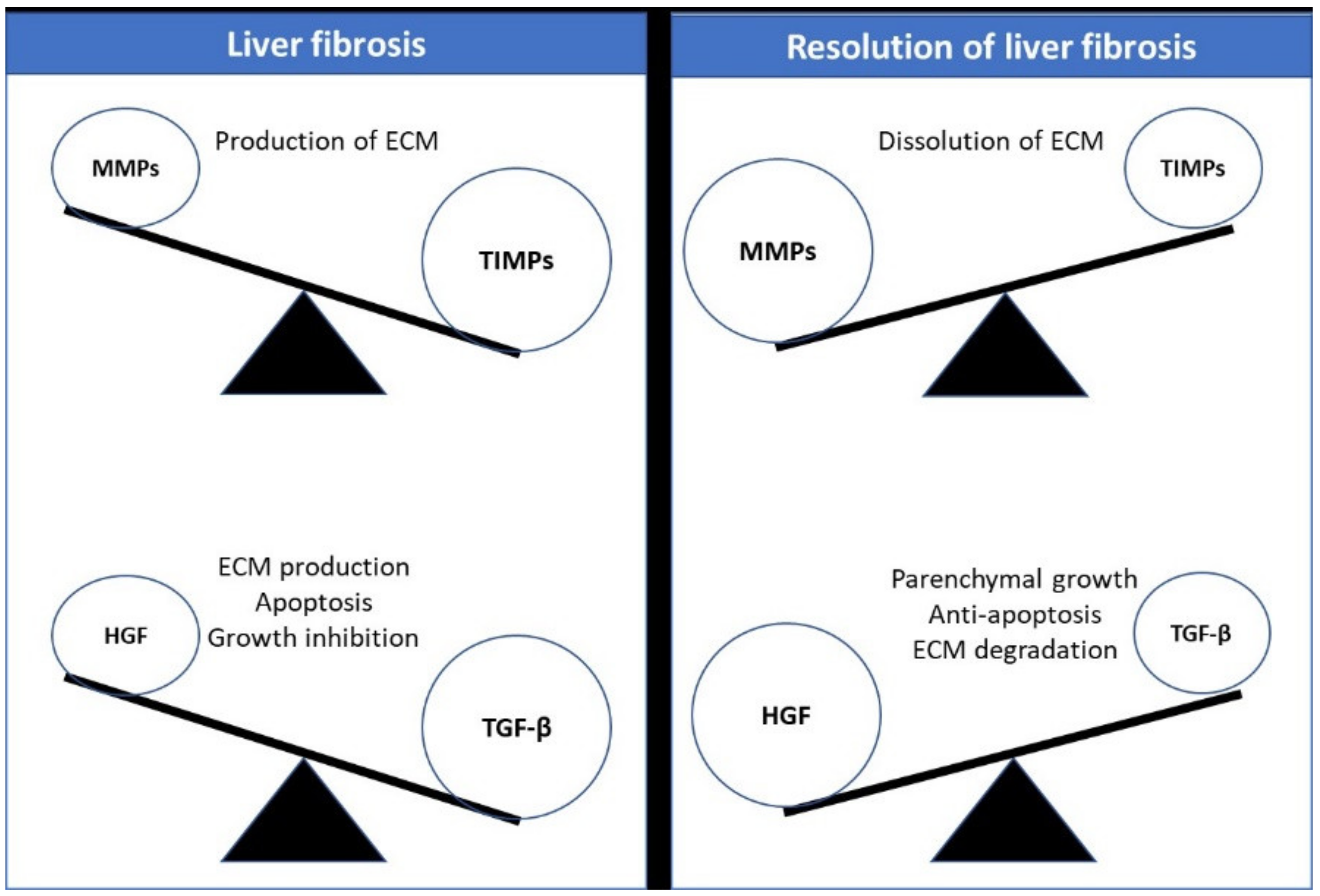 Cells 11 01500 g003 Cells 11 01500 g003