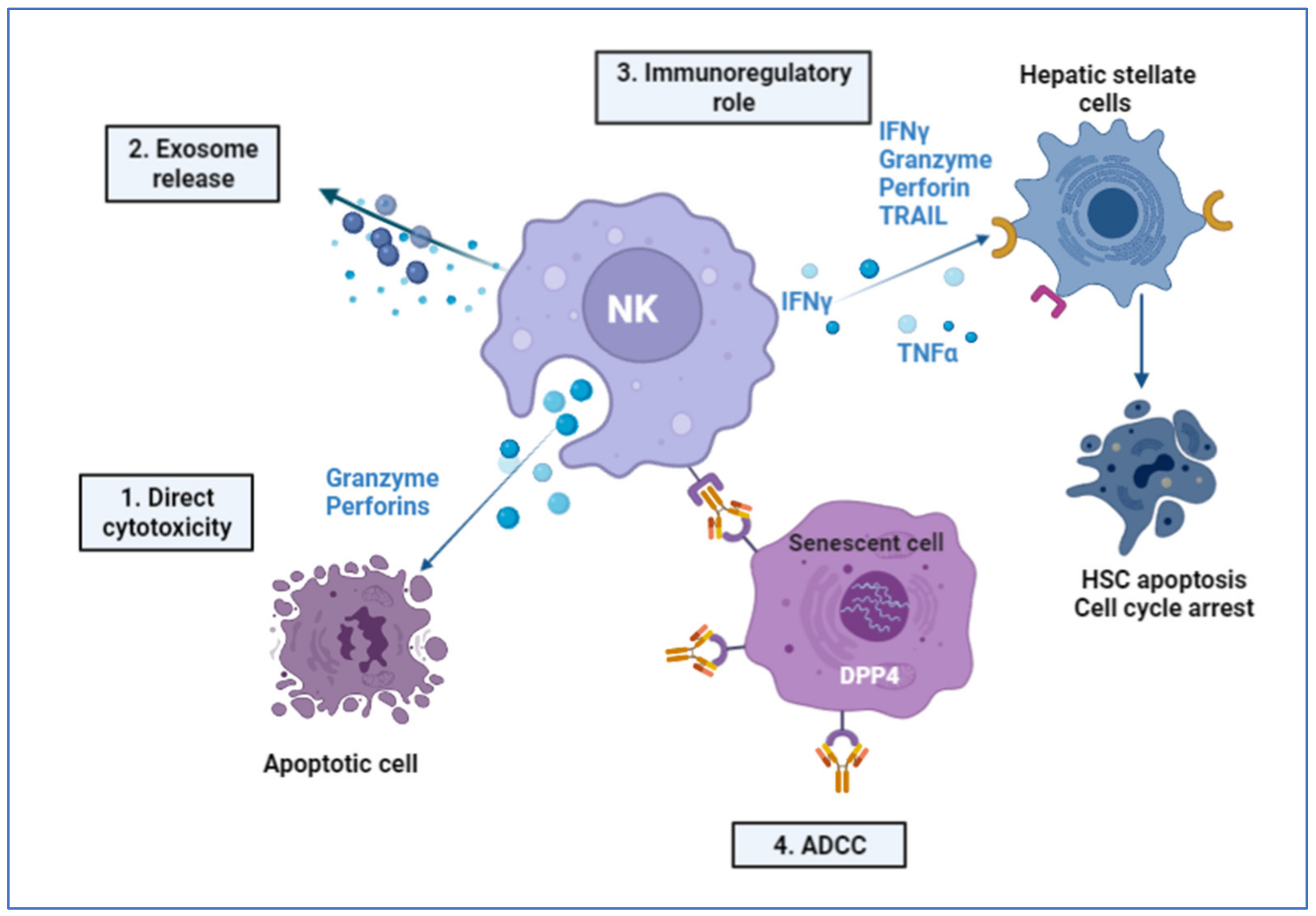 Cells 11 01500 g005 Cells 11 01500 g005