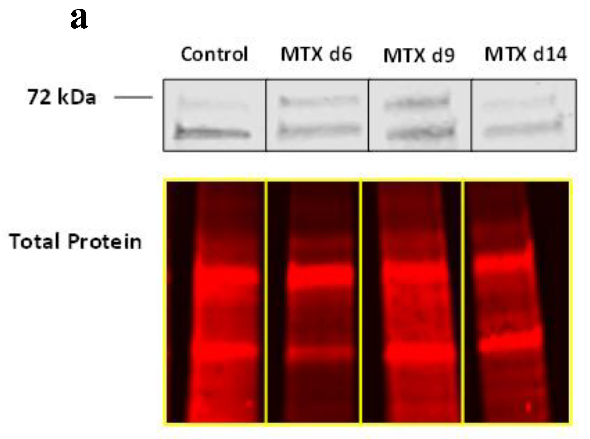 Cells 11 01521 g002a