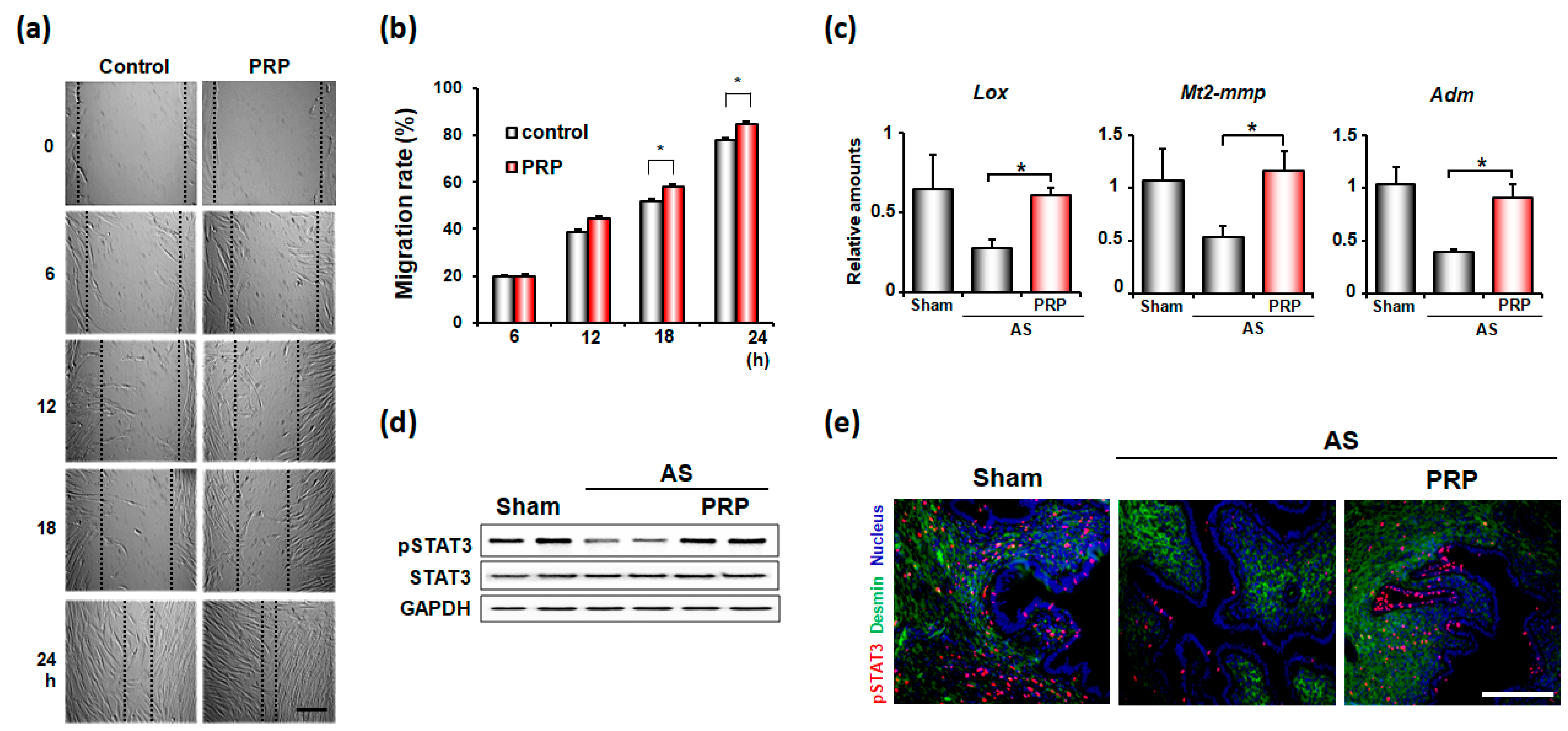 Cells 11 01549 g006