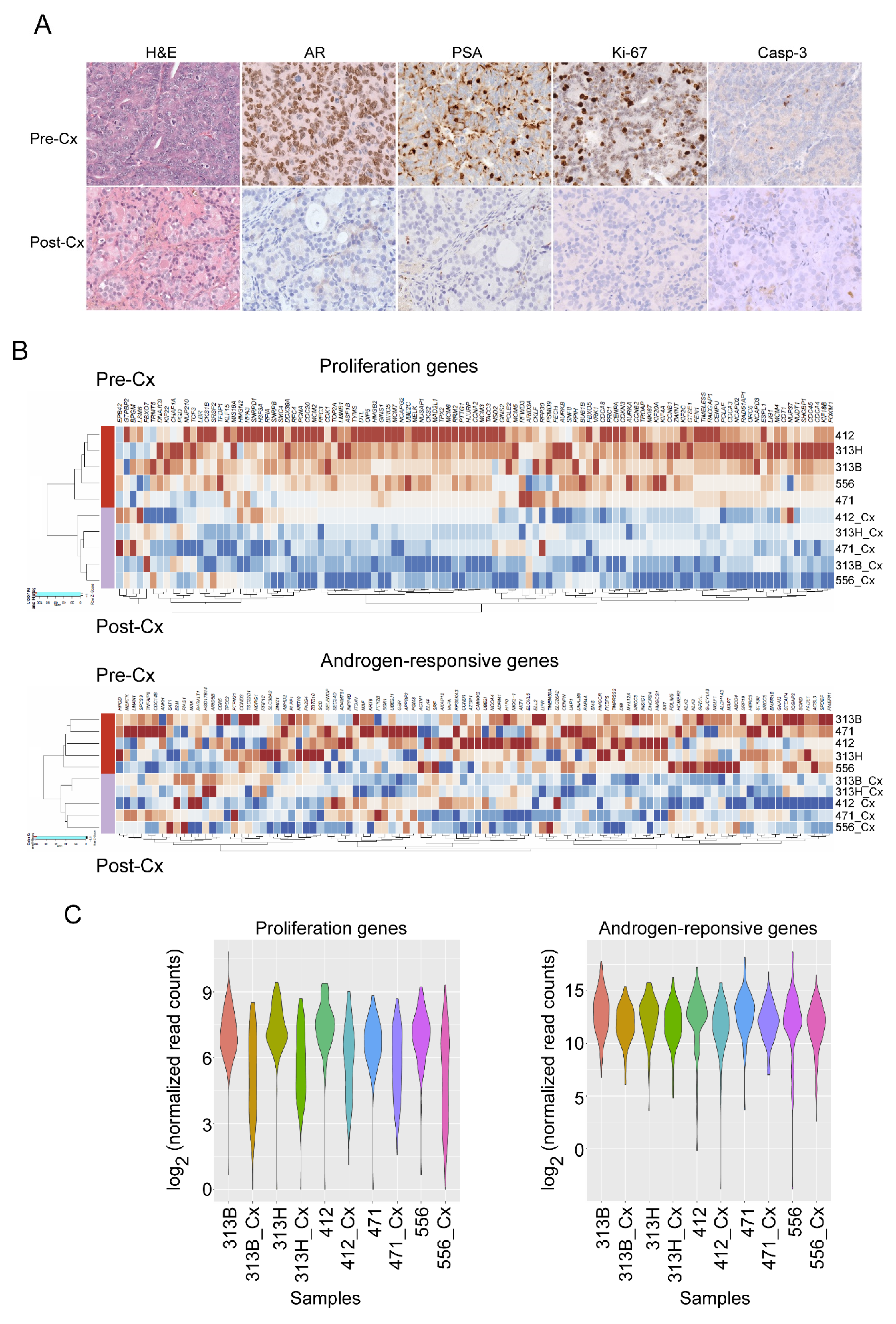 Cells | Free Full-Text | Framework of Intrinsic Immune Landscape