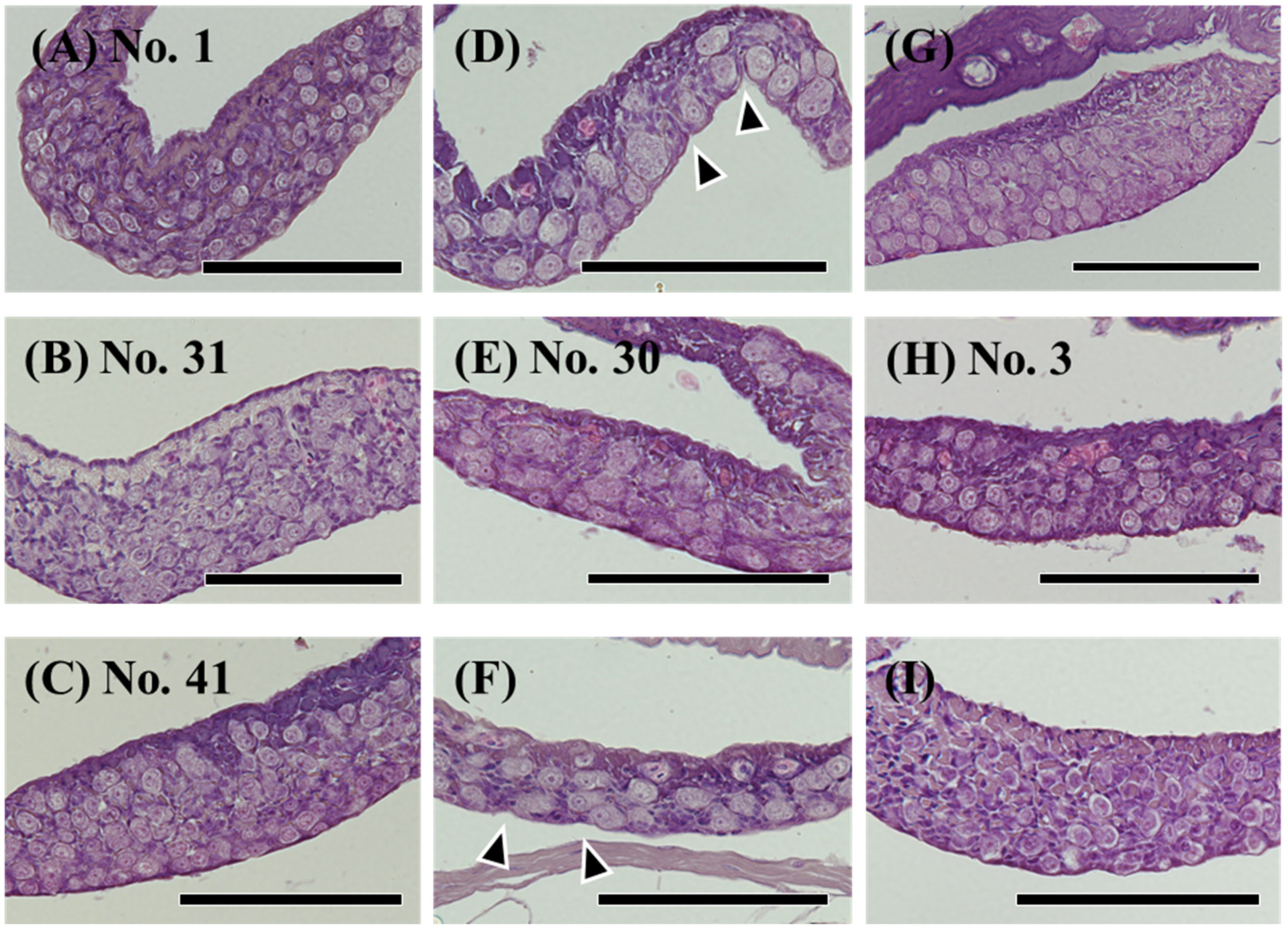 Cells 11 01554 g003 Cells 11 01554 g003