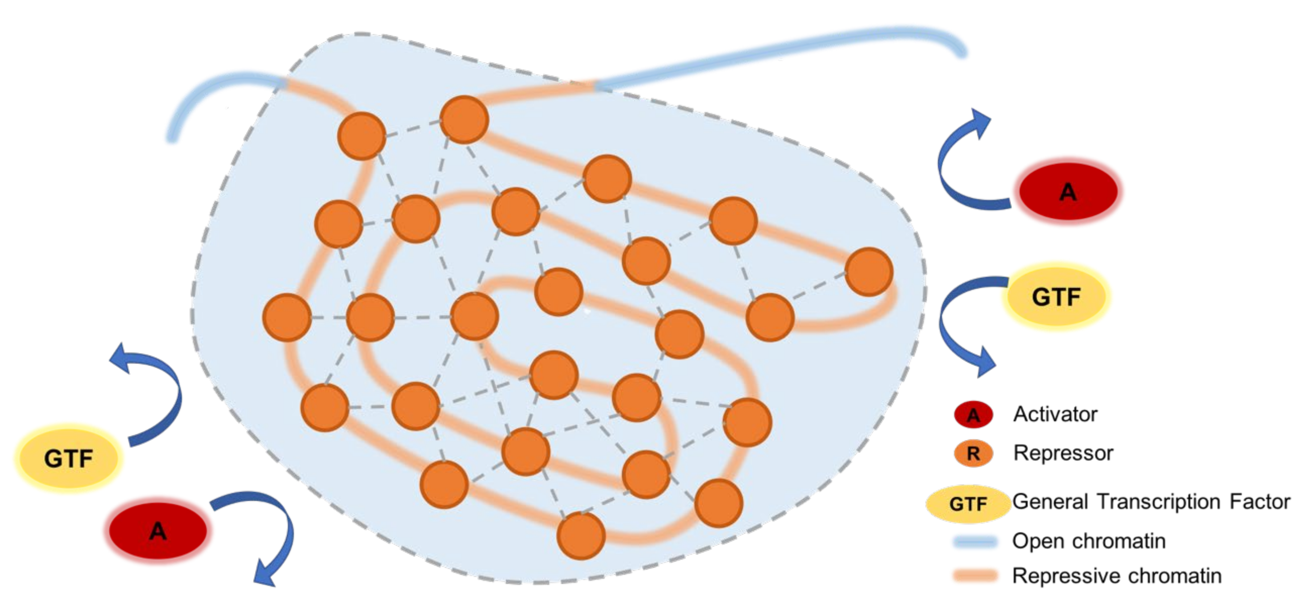 Cells 11 01560 g003 Cells 11 01560 g003