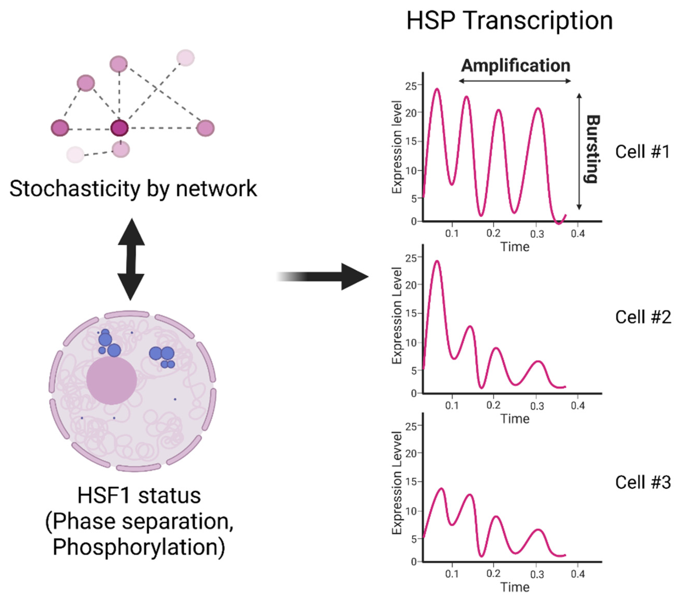 Cells 11 01561 g002 Cells 11 01561 g002