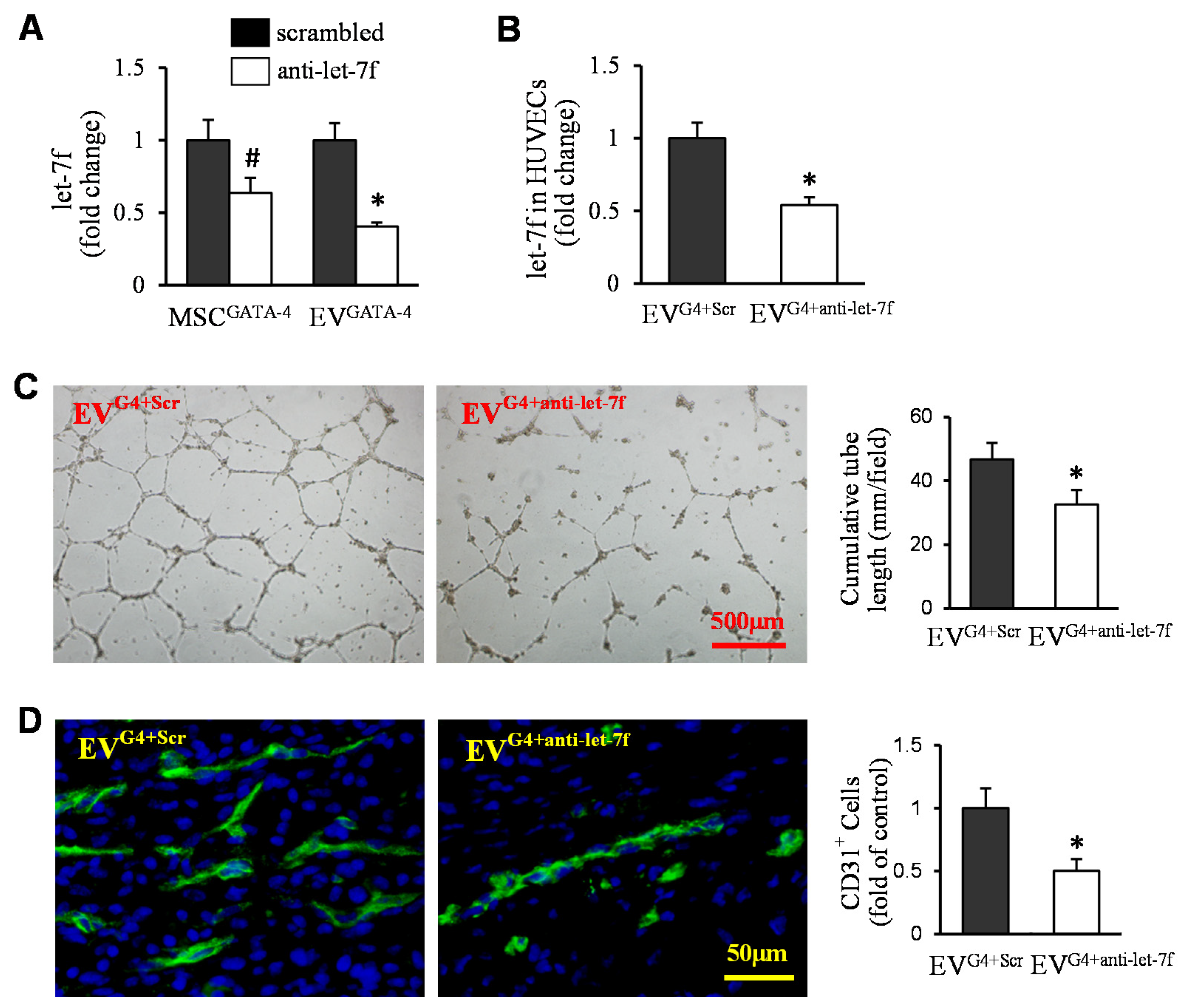 Cells 11 01573 g006 Cells 11 01573 g006