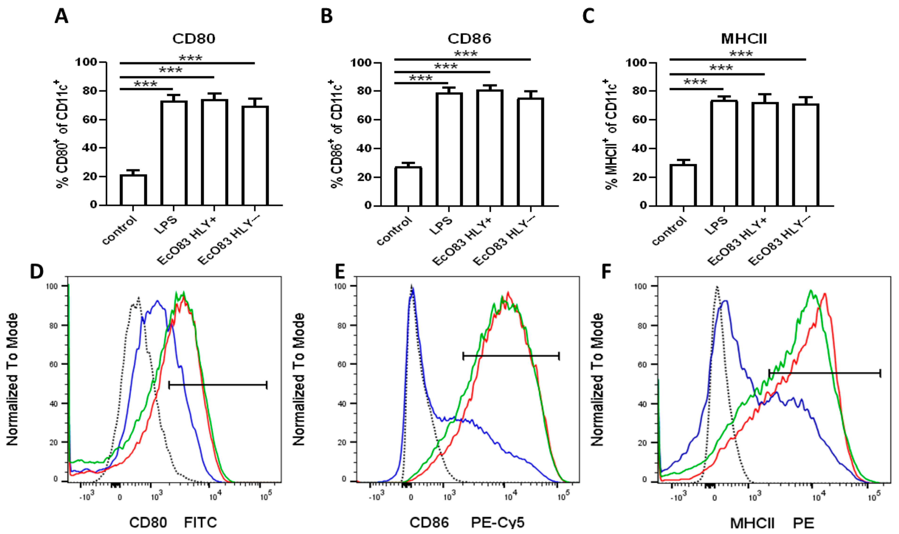 Cells 11 01624 g001 Cells 11 01624 g001