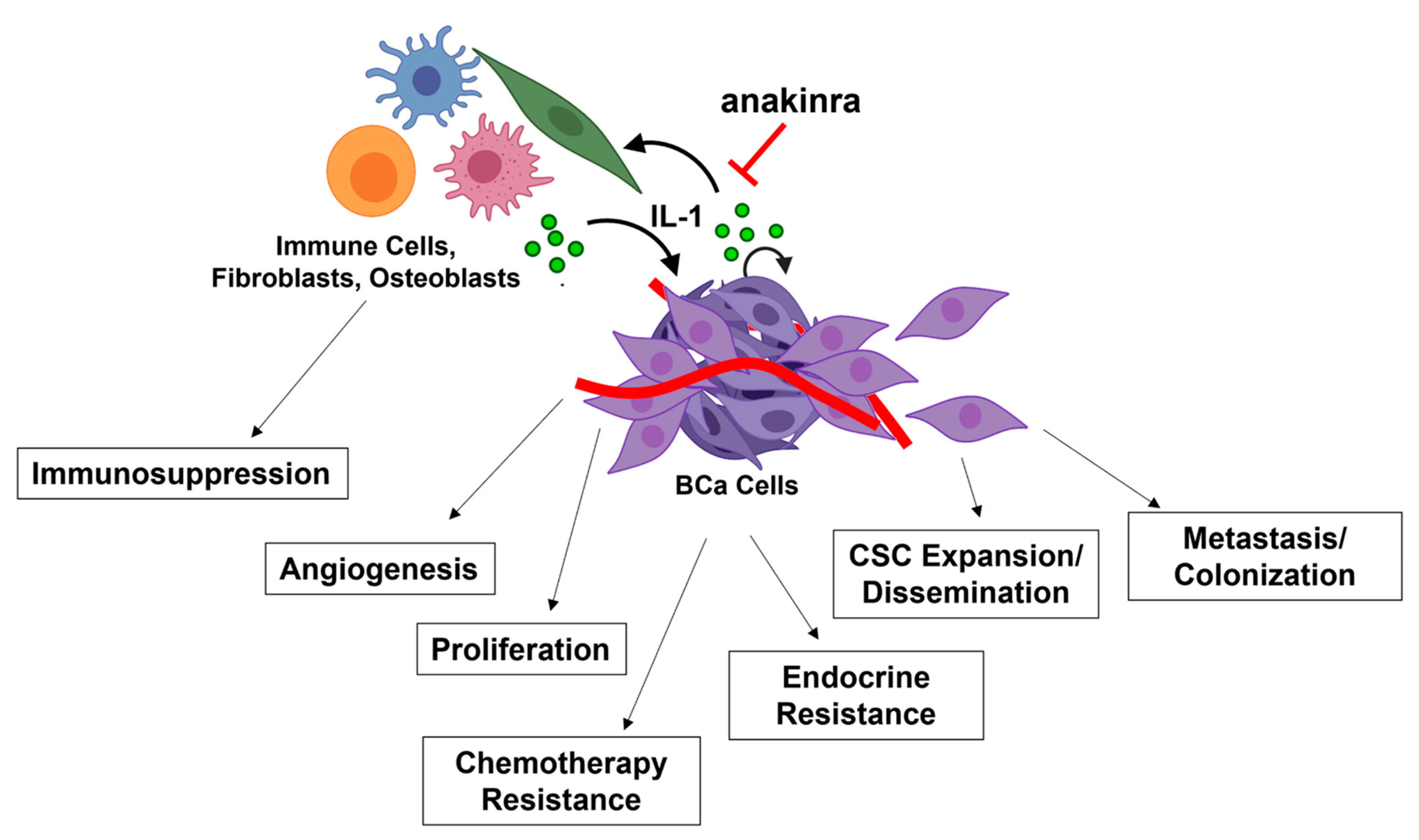 Cells 11 01673 g002 Cells 11 01673 g002