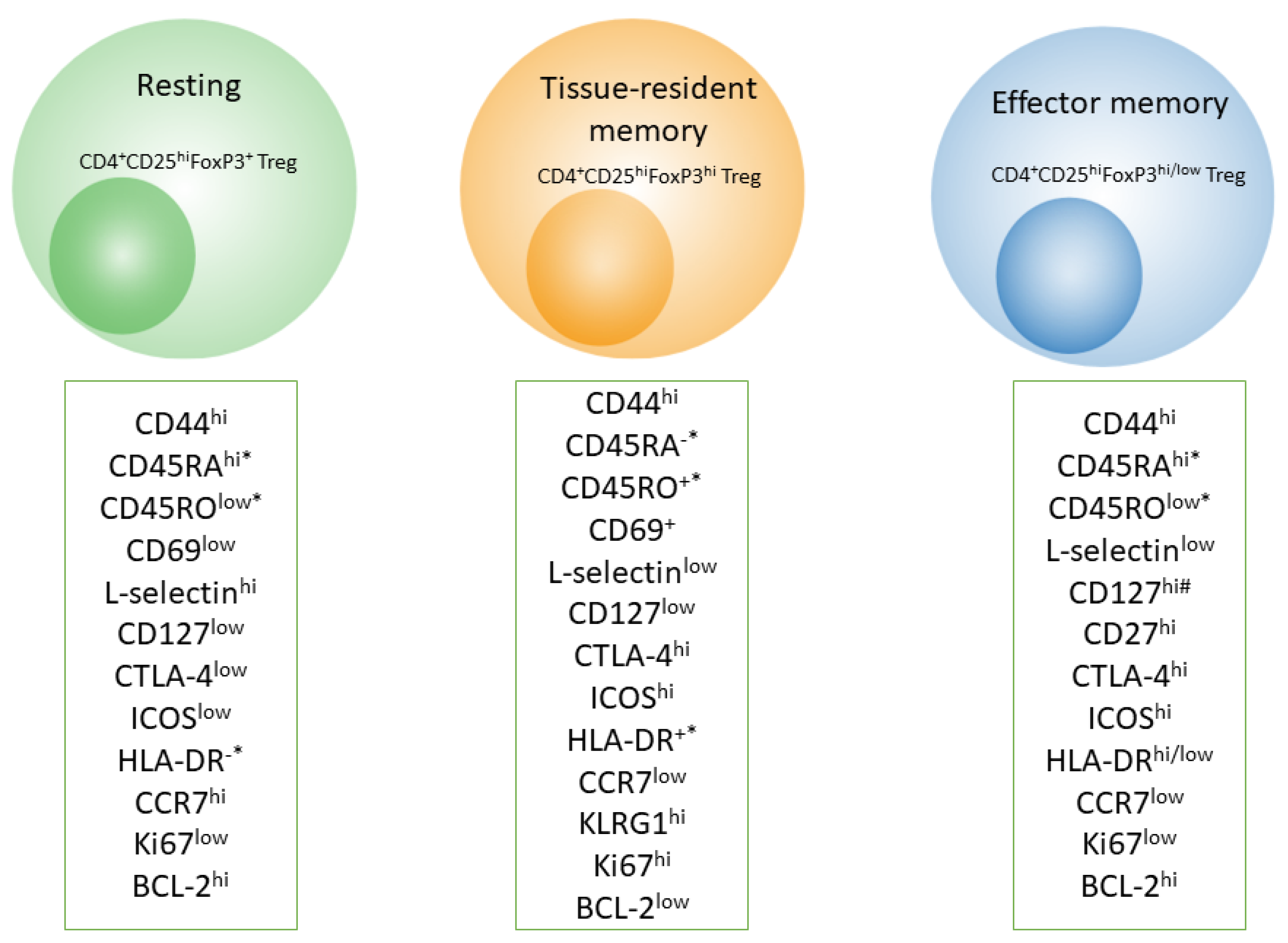 Cells | Free Full-Text | The Regulatory-T-Cell Memory Phenotype: What We  Know | HTML