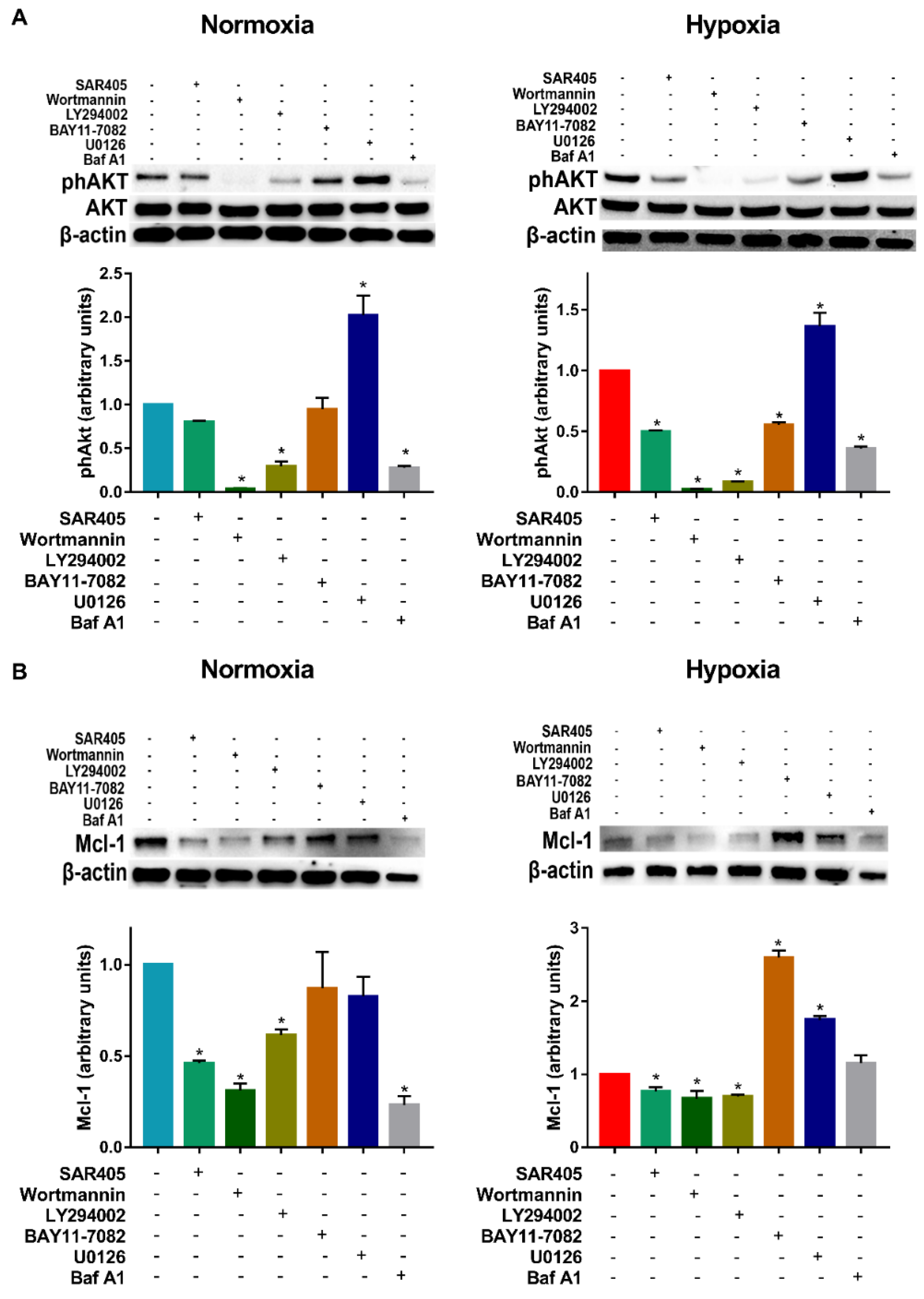 Cells 11 01695 g002
