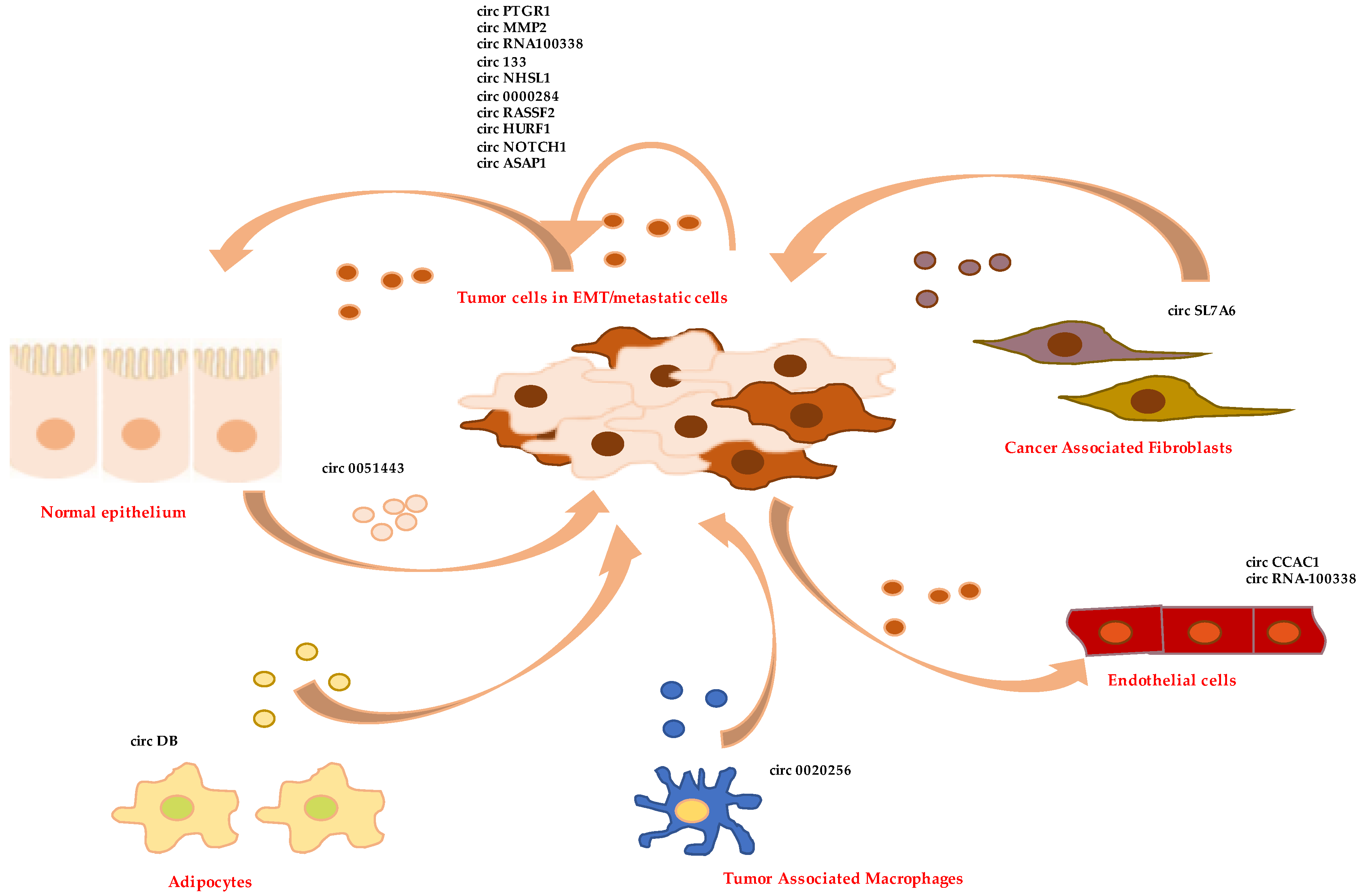 Cells 11 01716 g003 Cells 11 01716 g003
