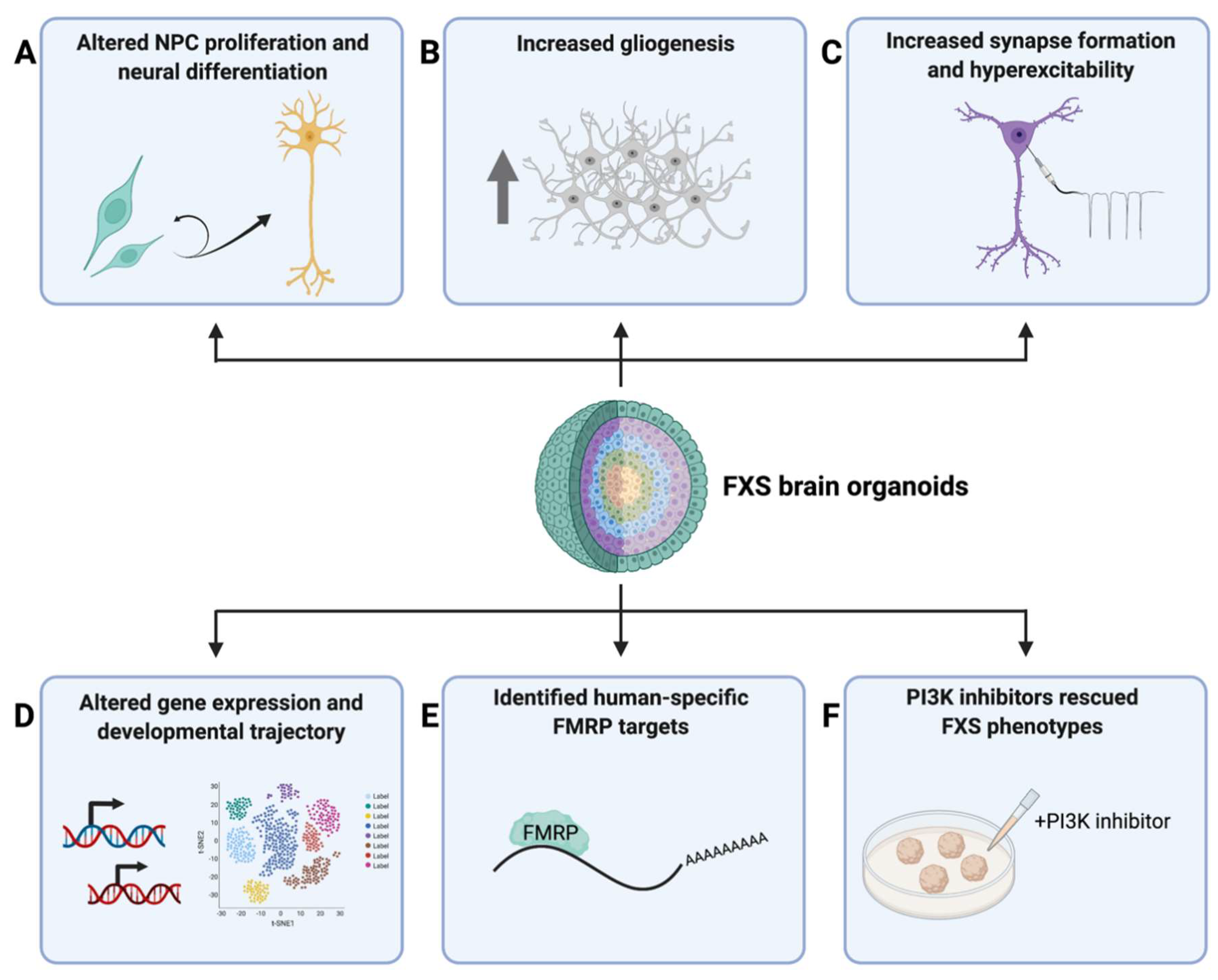Cells 11 01725 g002 Cells 11 01725 g002