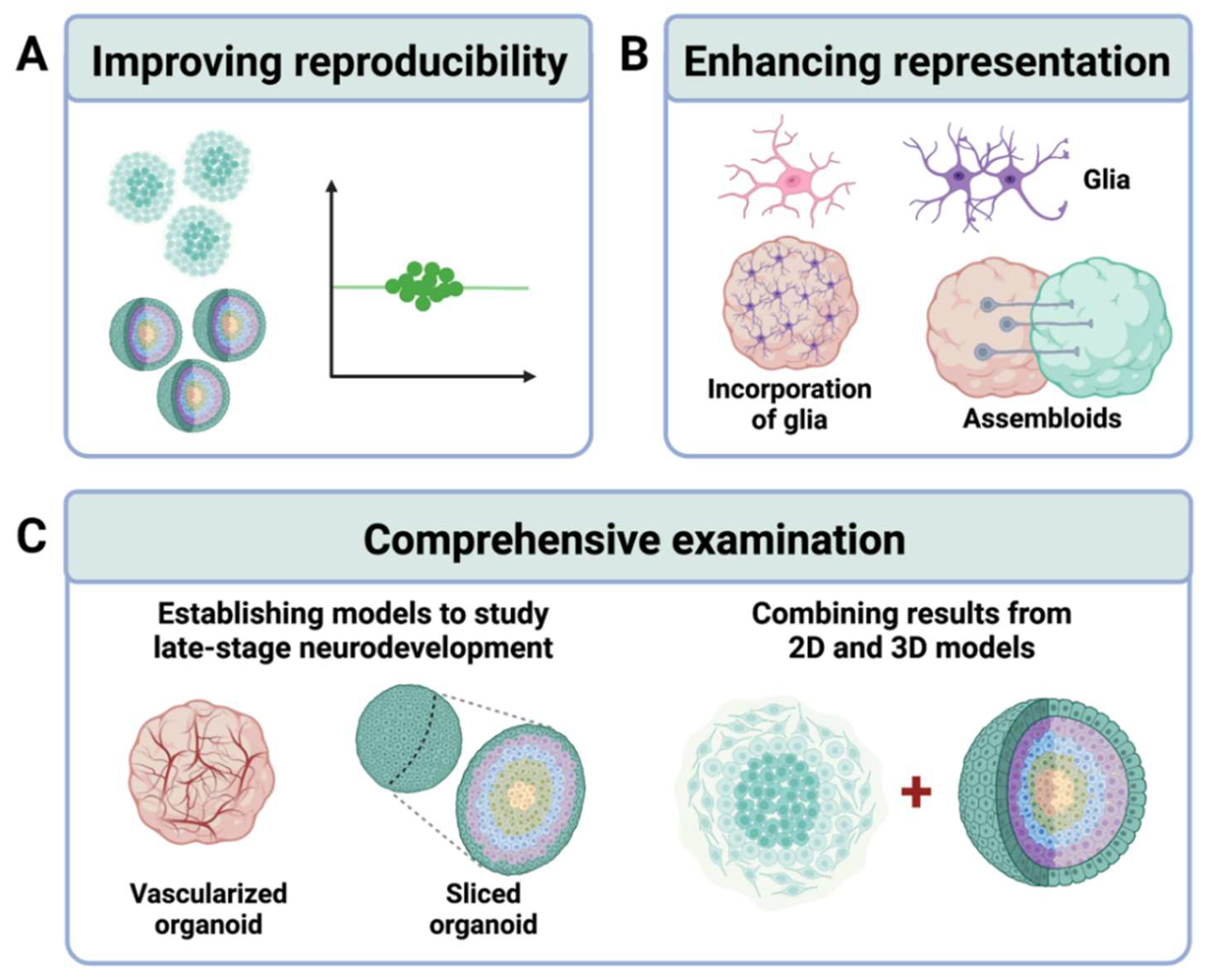 Cells 11 01725 g003 Cells 11 01725 g003