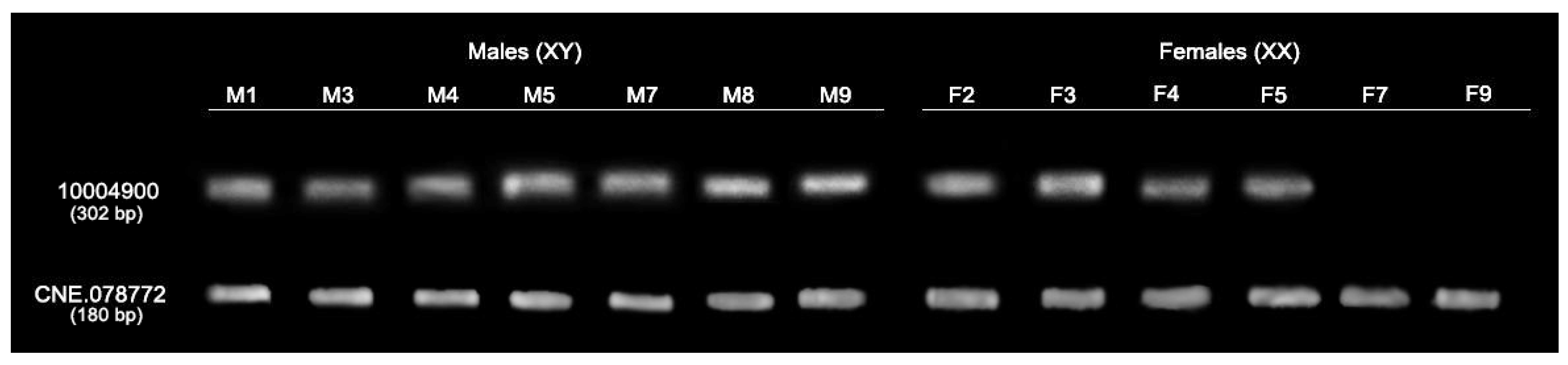 Cells 11 01764 g003 Cells 11 01764 g003