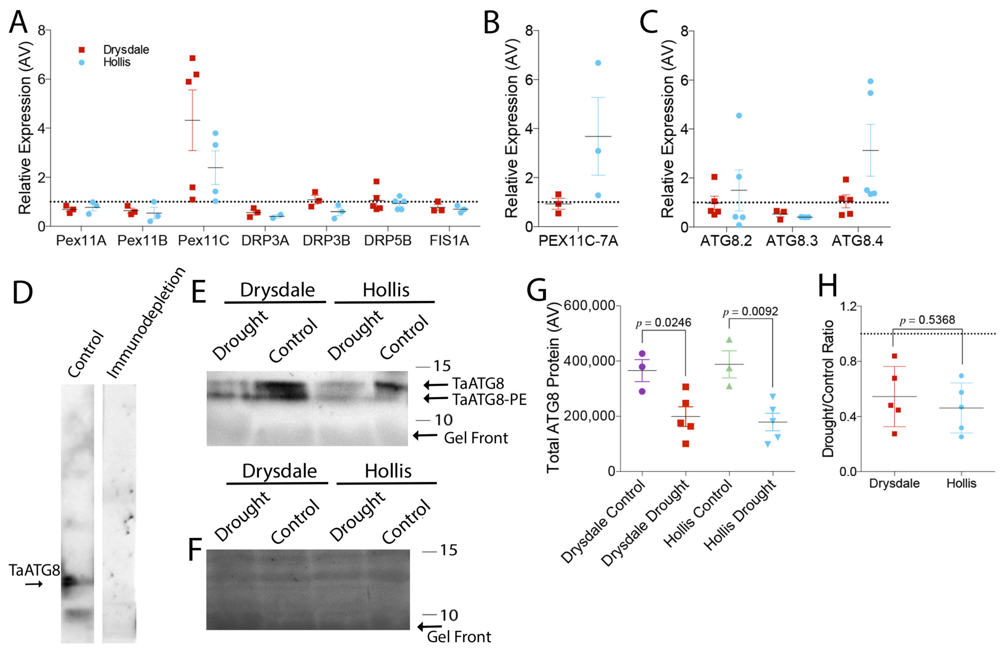 Cells 11 01765 g005 Cells 11 01765 g005