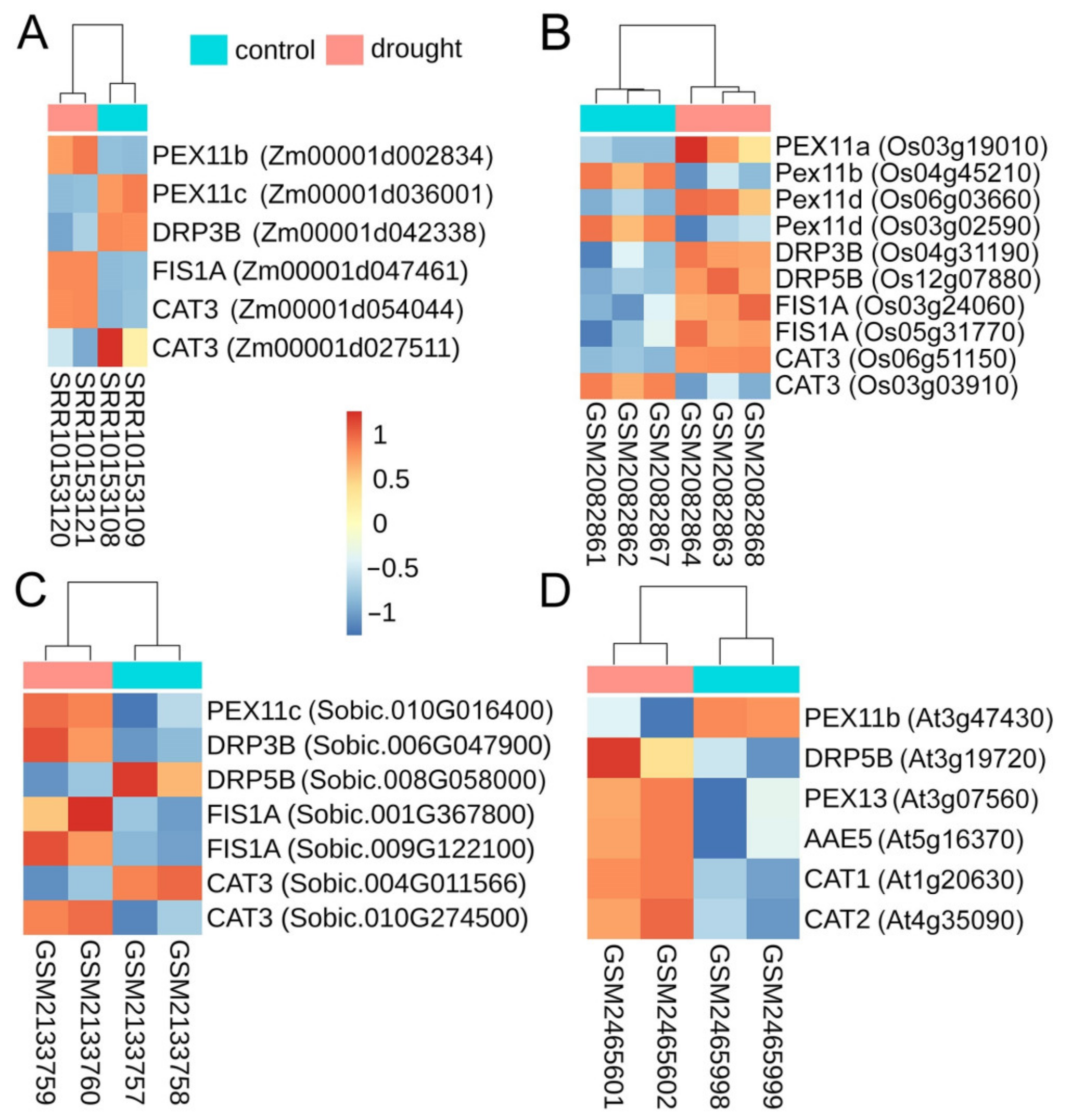 Cells 11 01765 g006 Cells 11 01765 g006