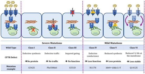 Cells | Free Full-Text | CFTR Modulators In People With Cystic Fibrosis ...