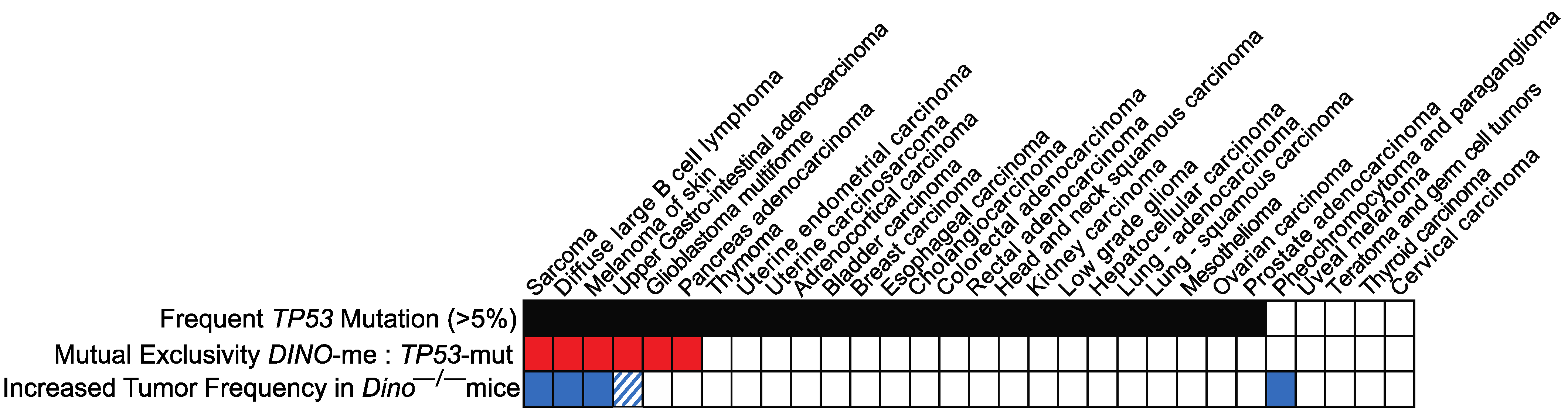Cells 11 01818 g002 Cells 11 01818 g002