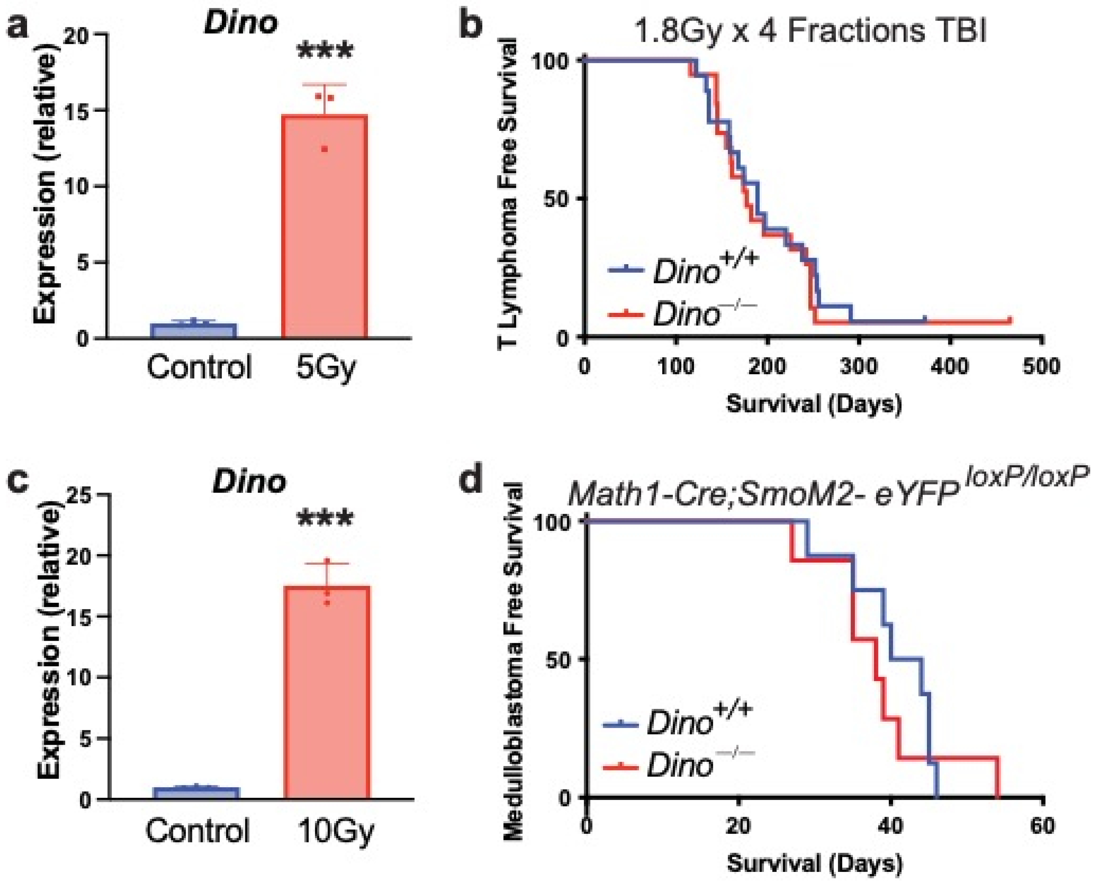 Cells 11 01818 g003 Cells 11 01818 g003
