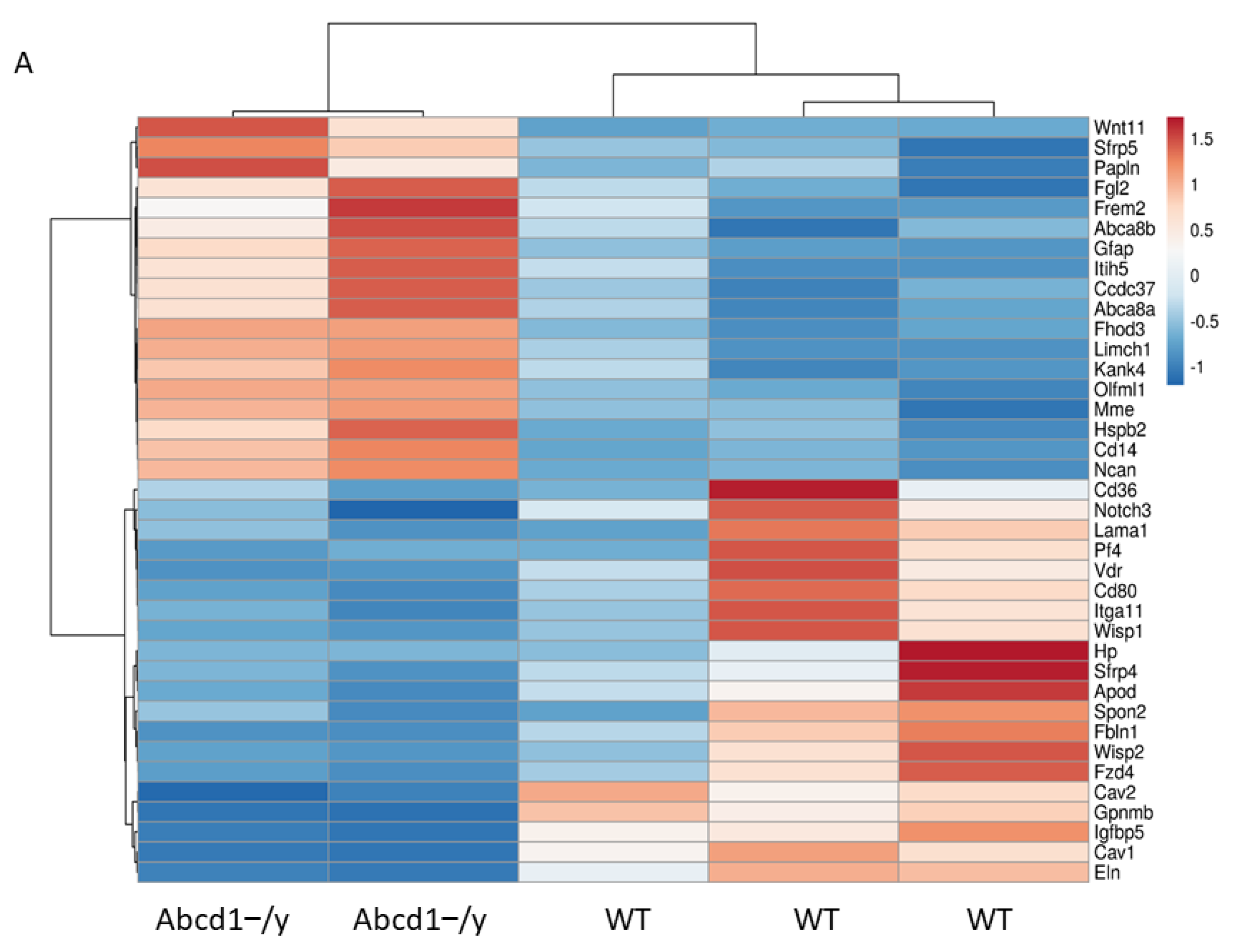 Cells 11 01842 g008a