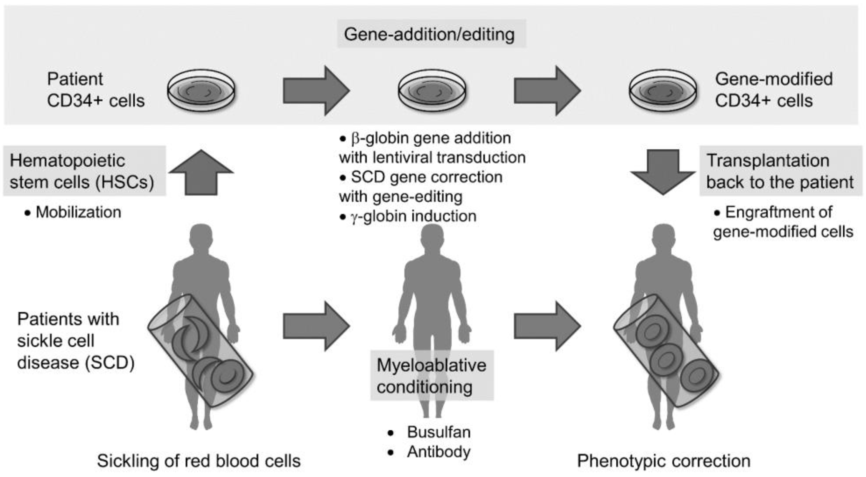Cells | Free Full-Text | Hematopoietic Stem Cell Gene-Addition/Editing  Therapy in Sickle Cell Disease | HTML