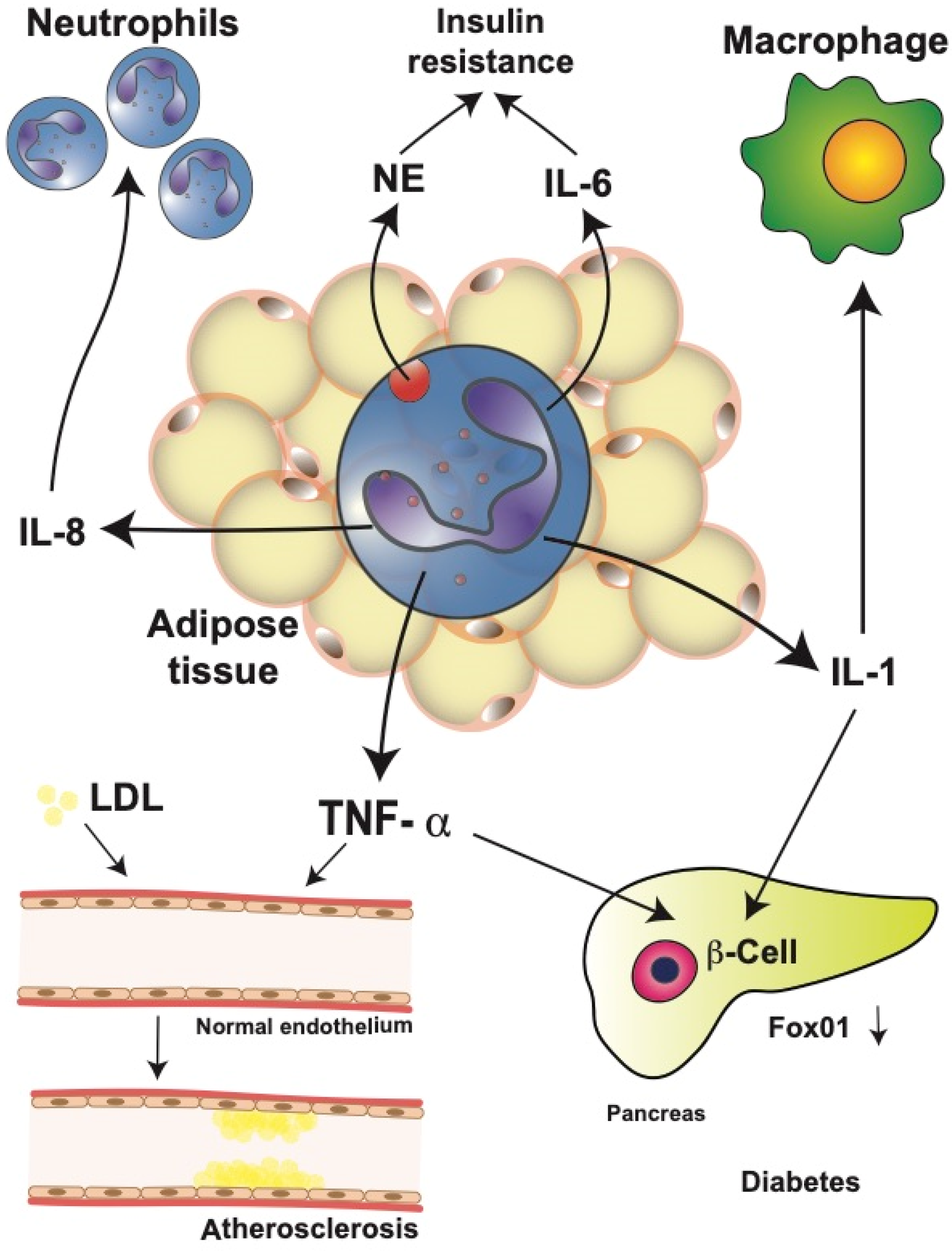 Cells 11 01883 g005 Cells 11 01883 g005