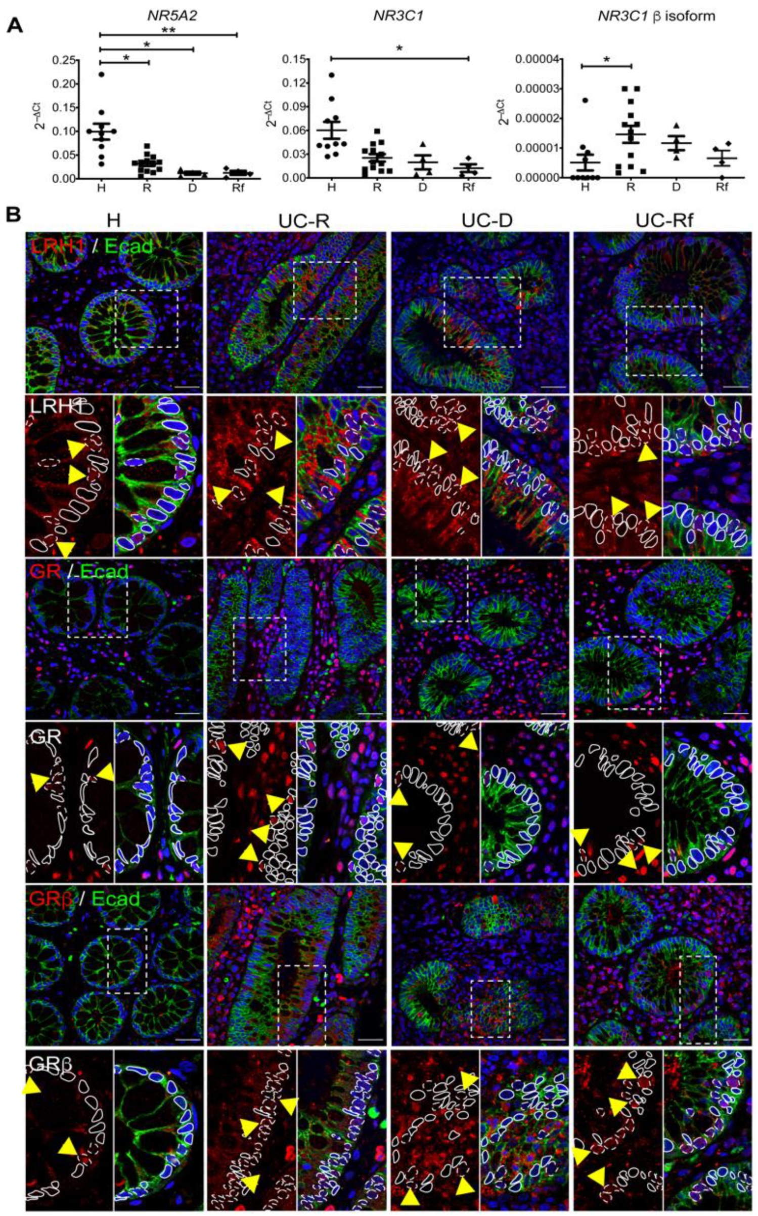 Cells 11 01905 g002 Cells 11 01905 g002