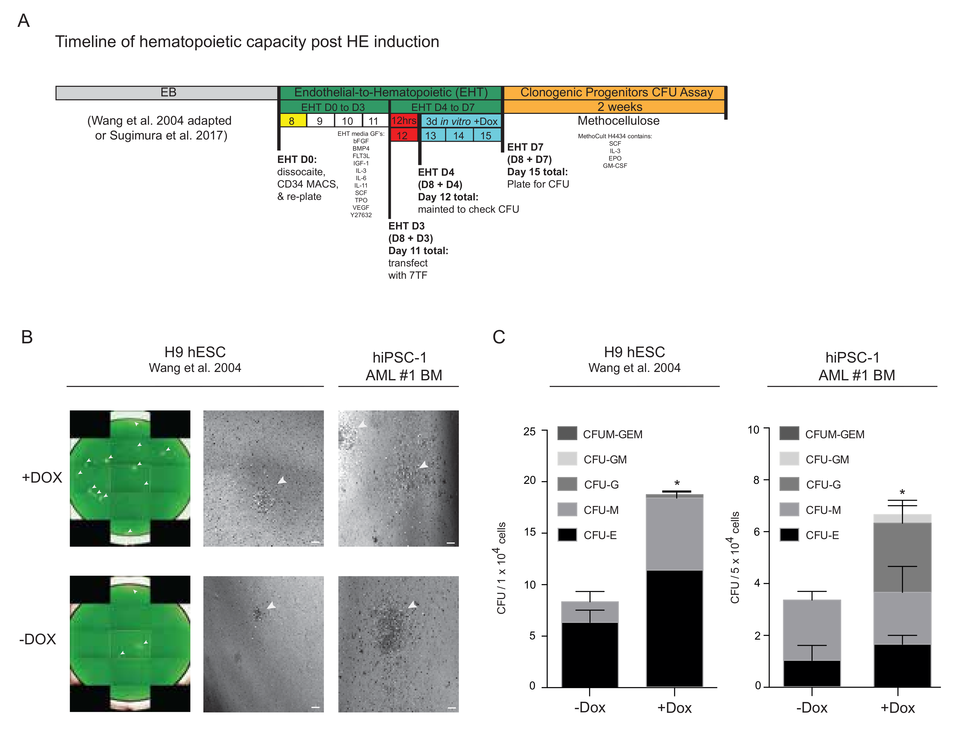 Cells 11 01915 g004