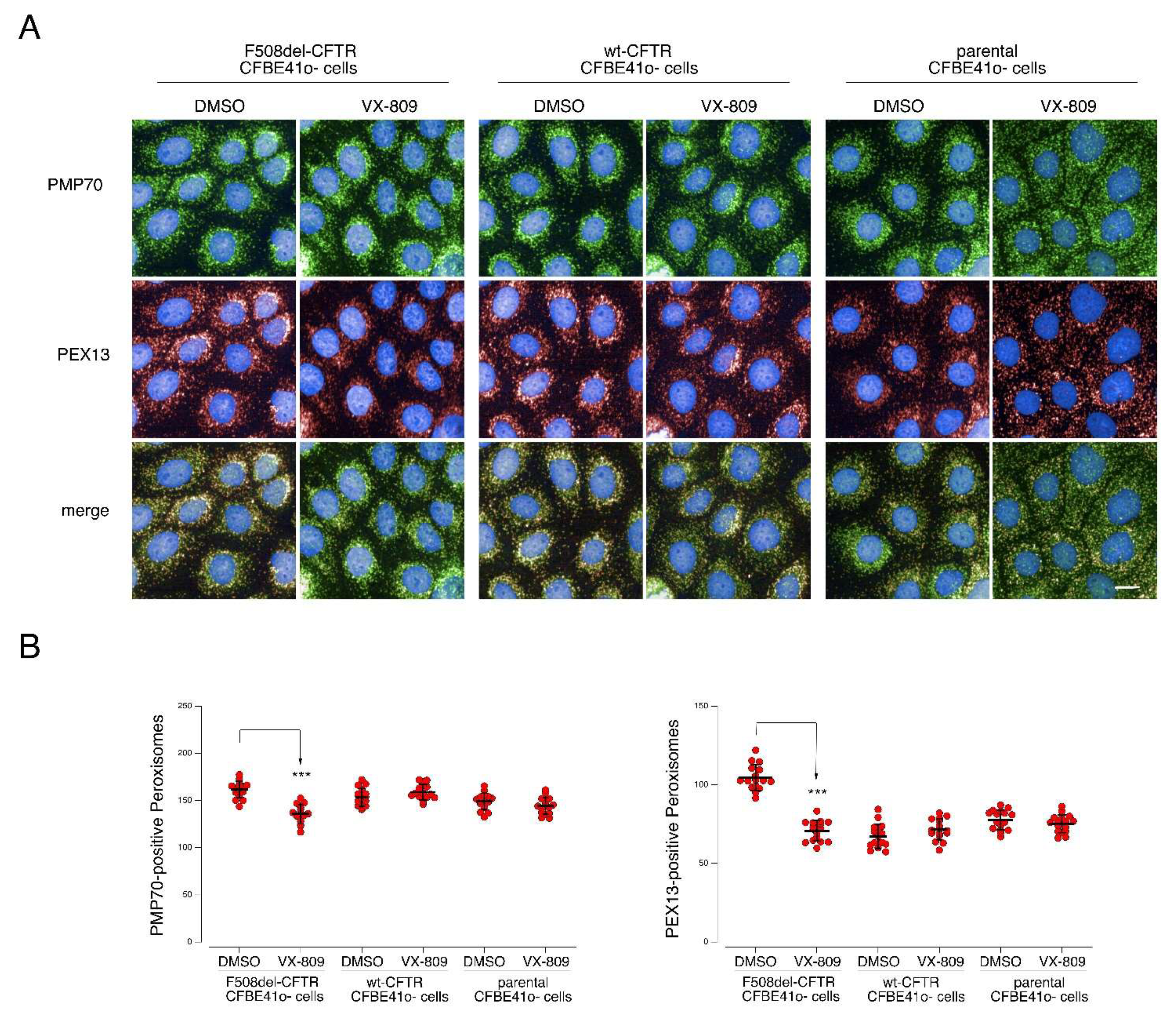 Cells 11 01938 g006