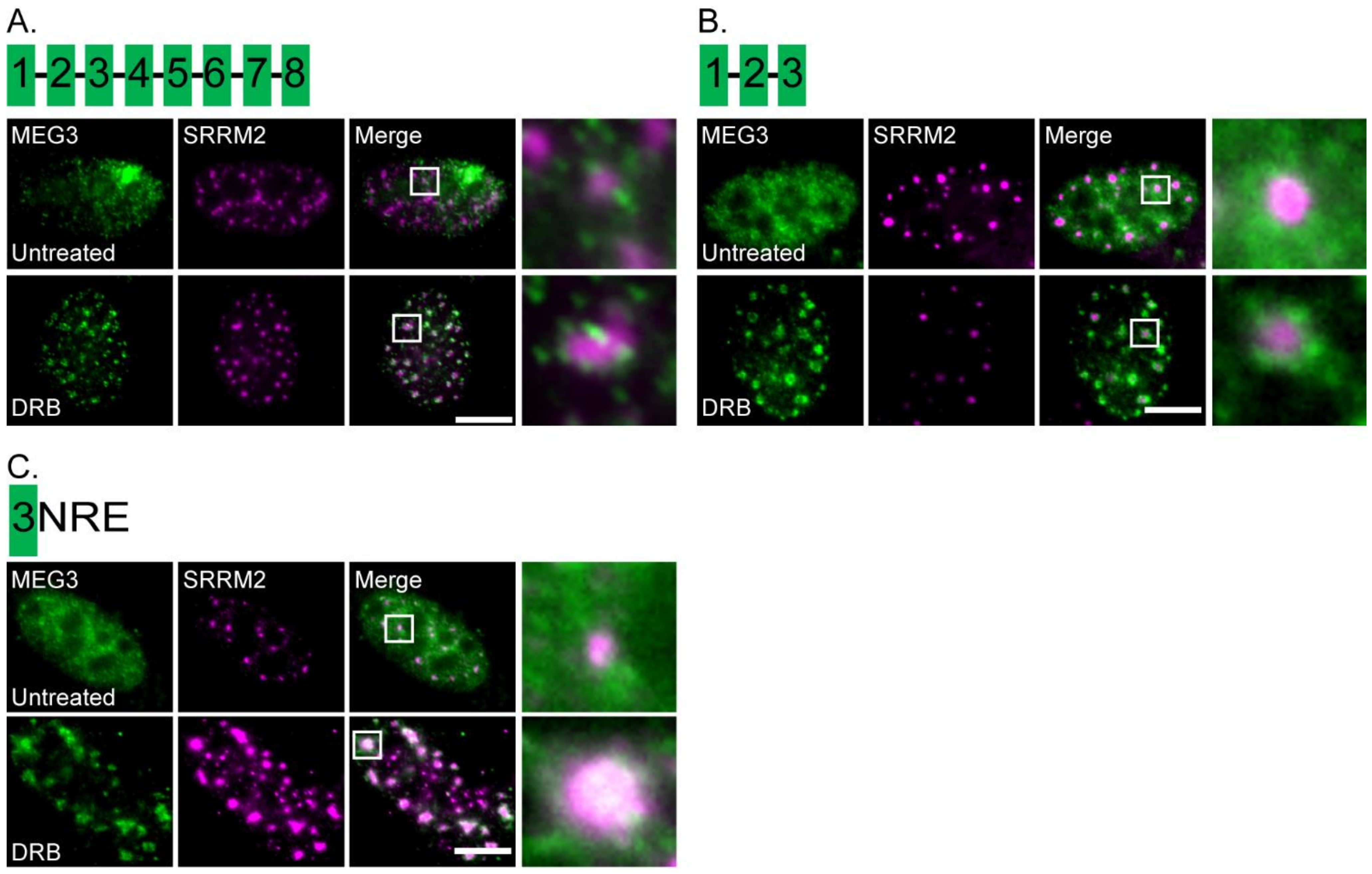 Cells 11 01942 g006
