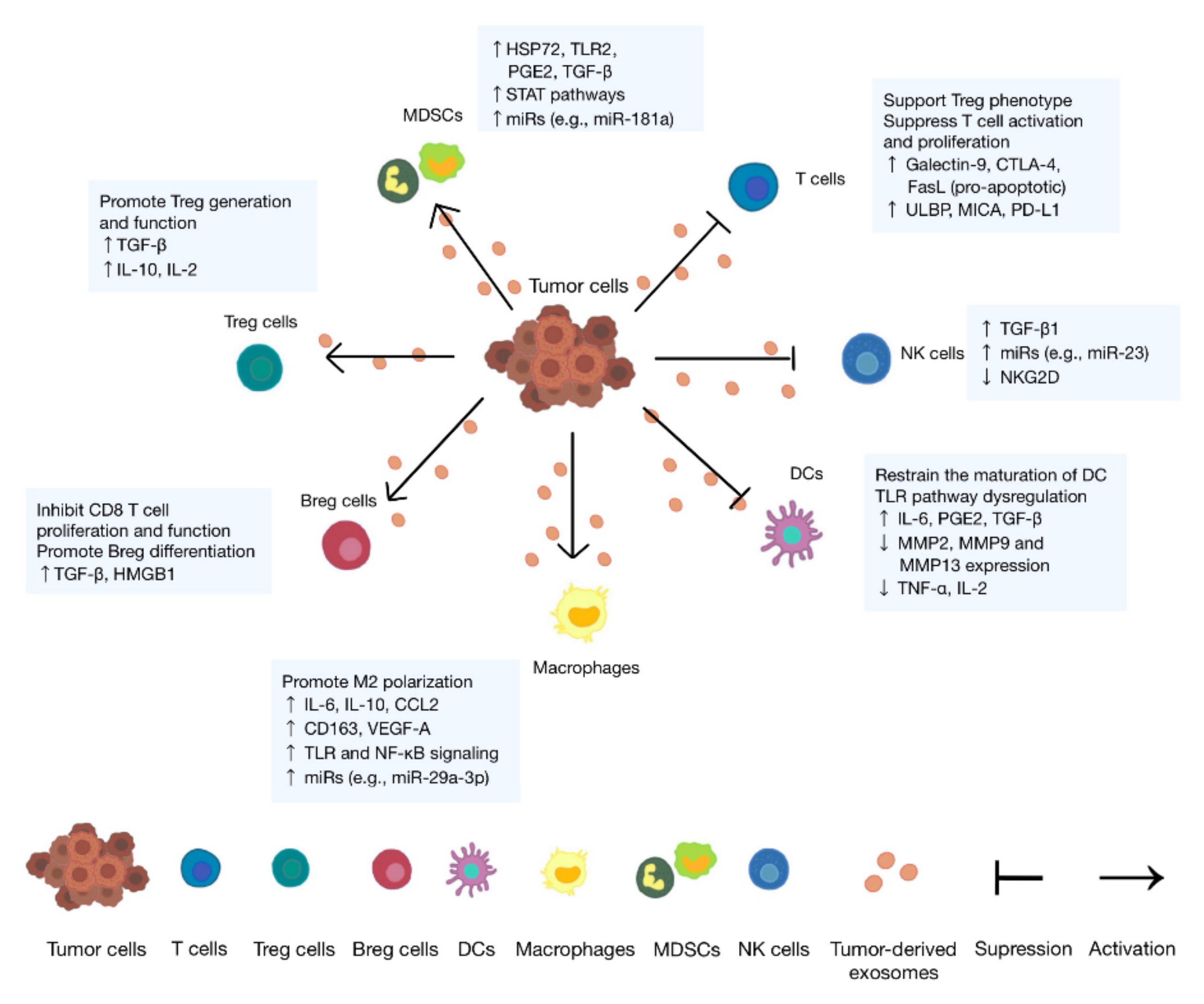 Cells 11 01946 g002 Cells 11 01946 g002