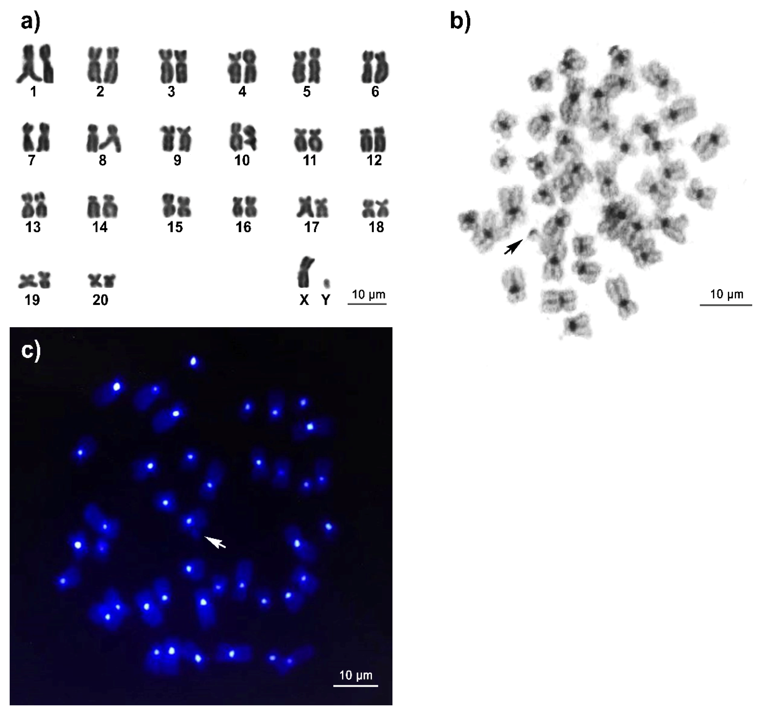 Cells 11 01953 g002 Cells 11 01953 g002