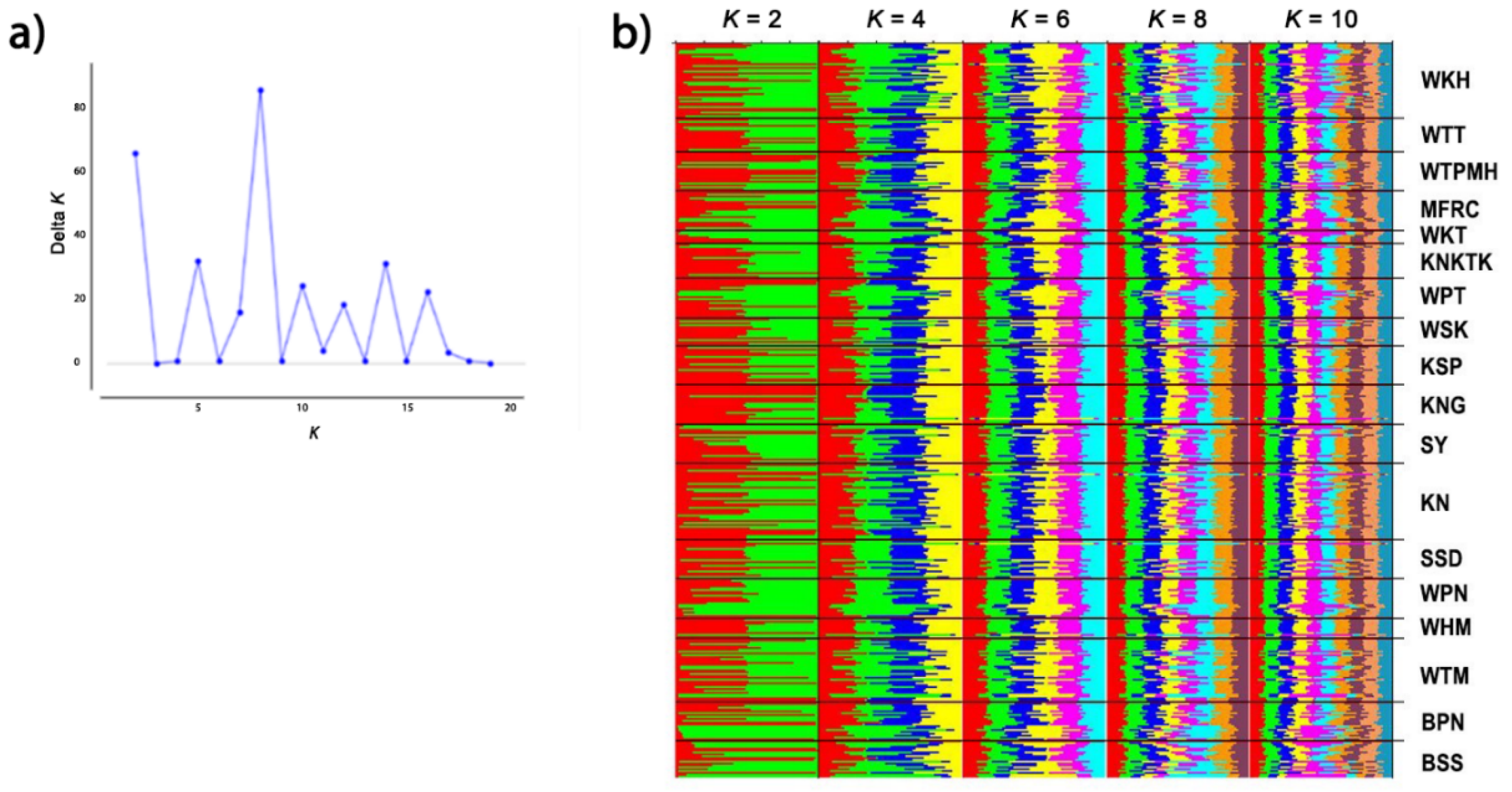 Cells 11 01953 g009 Cells 11 01953 g009