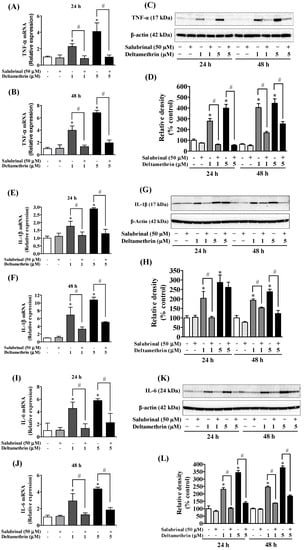 Cells | Free Full-Text | Deltamethrin-Evoked ER Stress Promotes  Neuroinflammation in the Adult Mouse Hippocampus | HTML