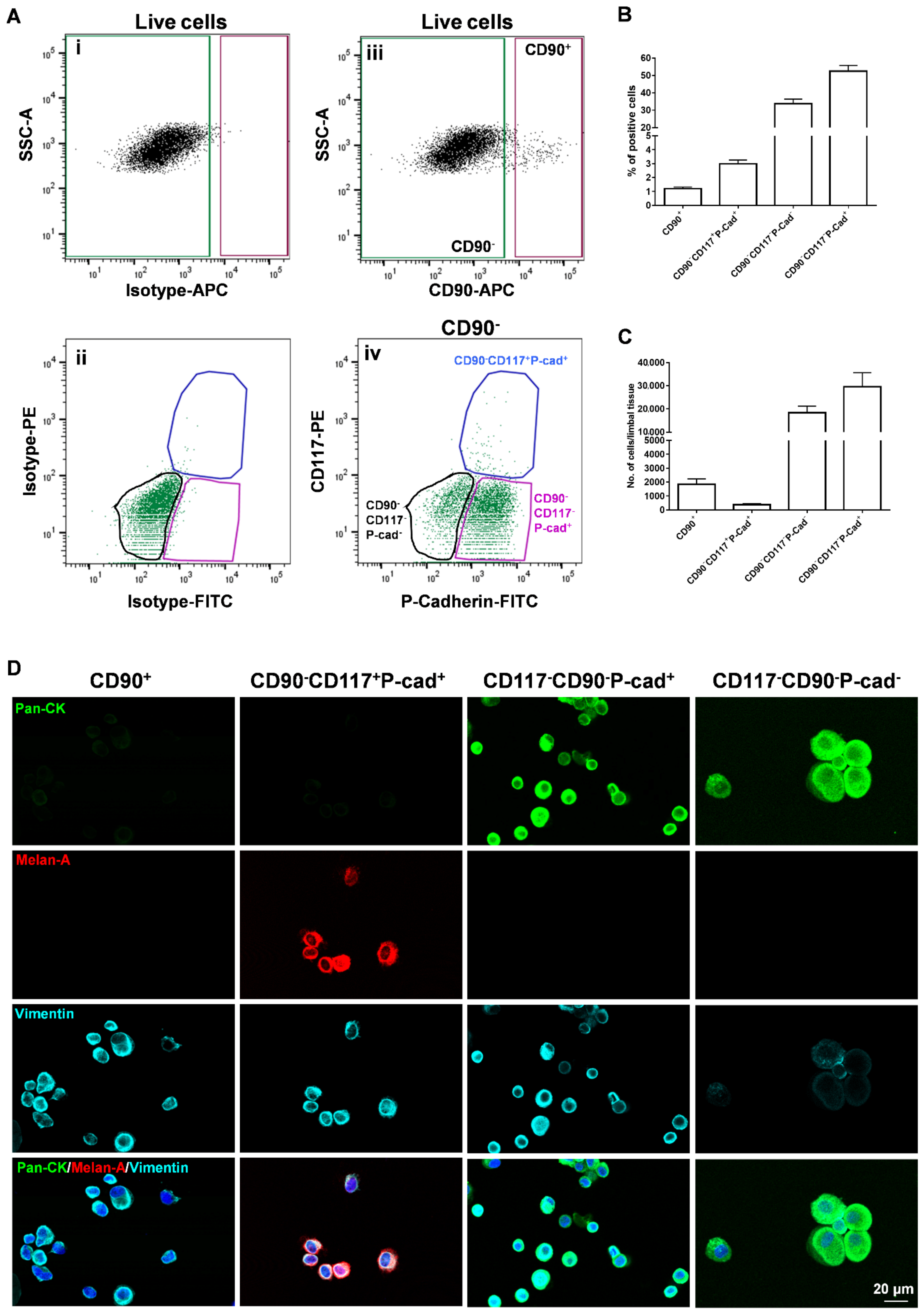 Cells 11 01975 g003 Cells 11 01975 g003