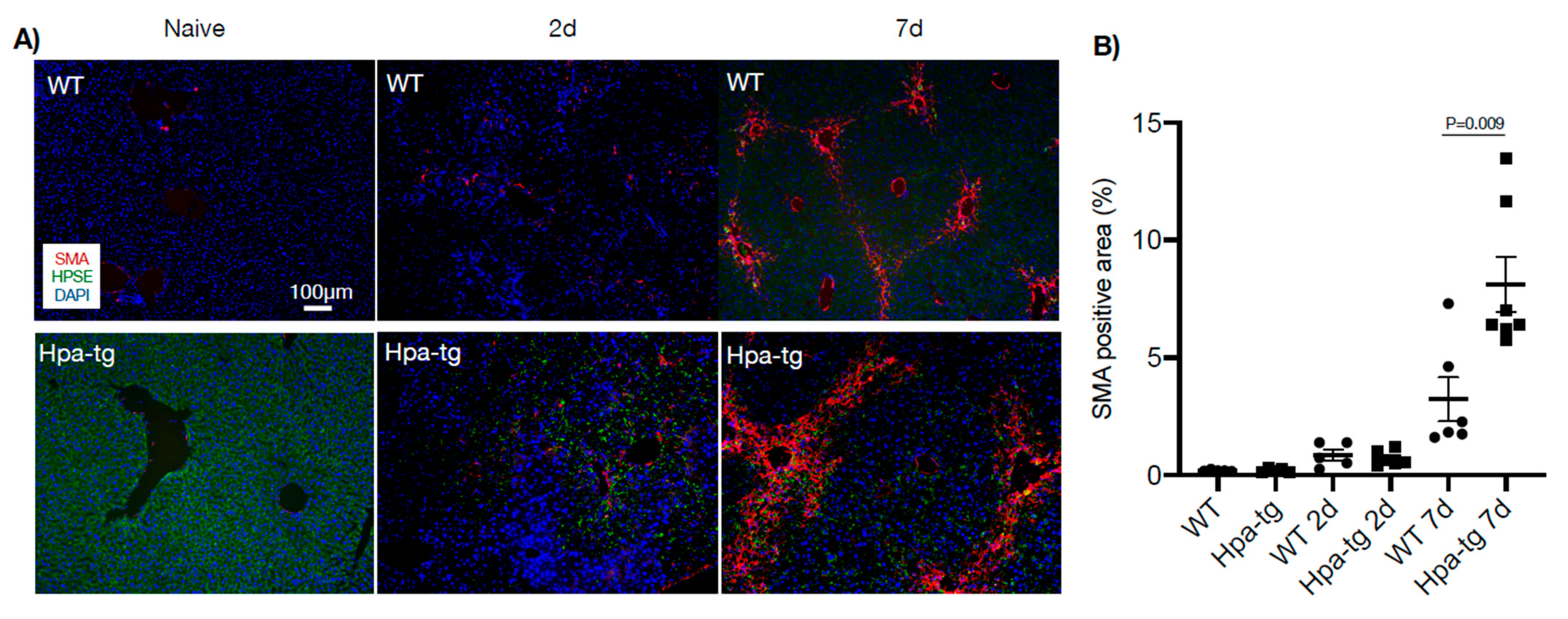 Cells 11 02035 g005