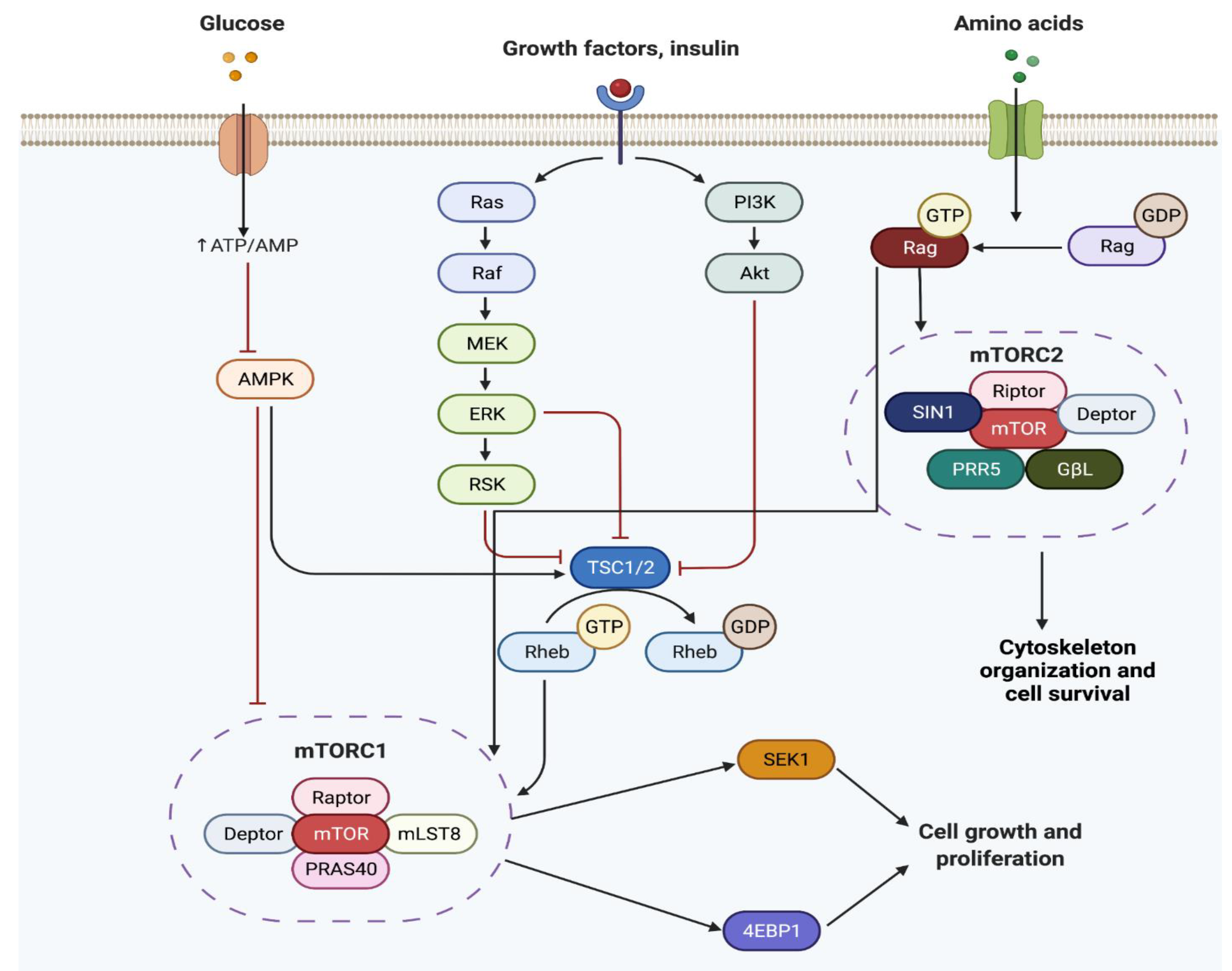 Cells 11 02048 g002 Cells 11 02048 g002