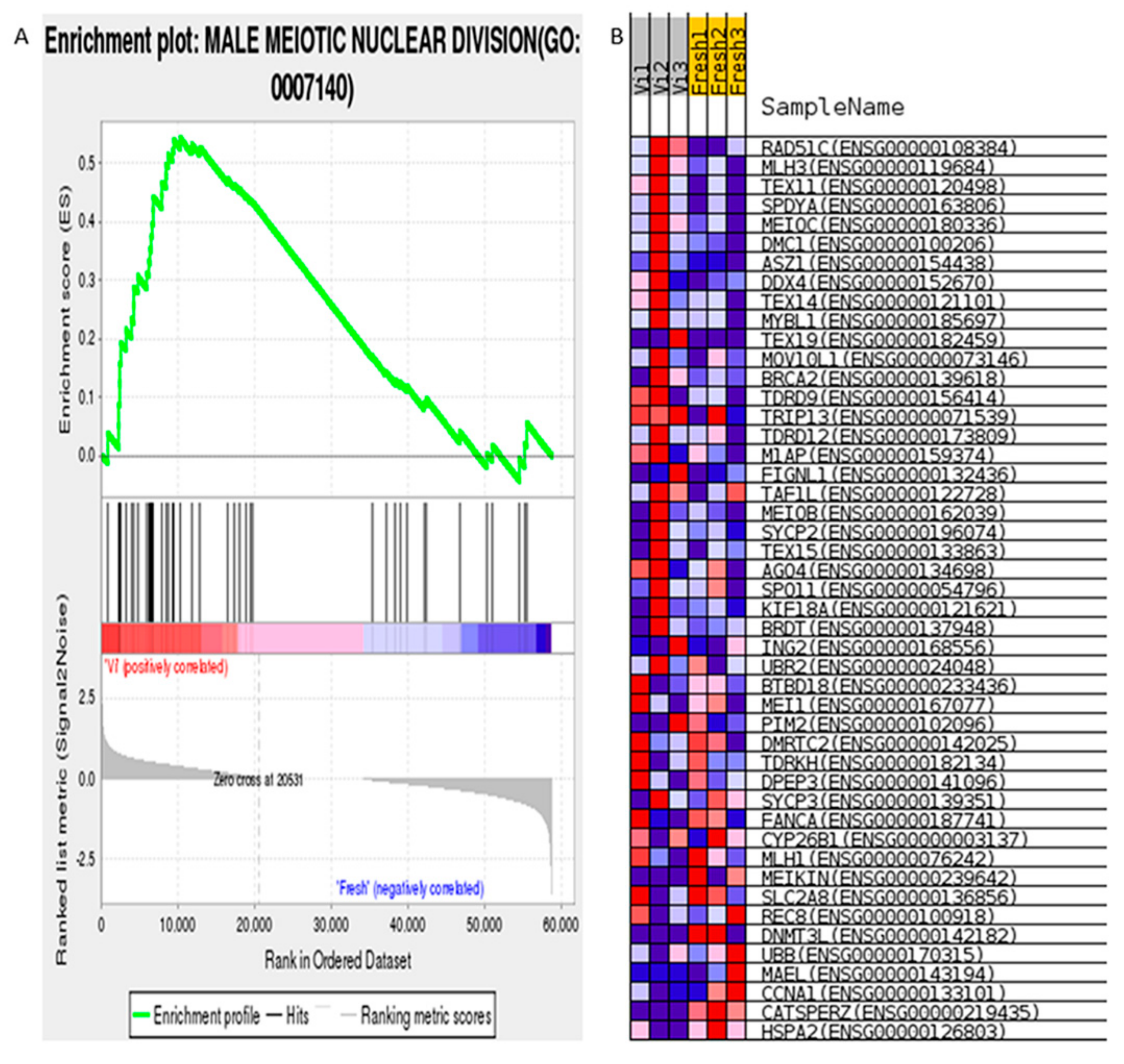 Cells 11 02110 g003