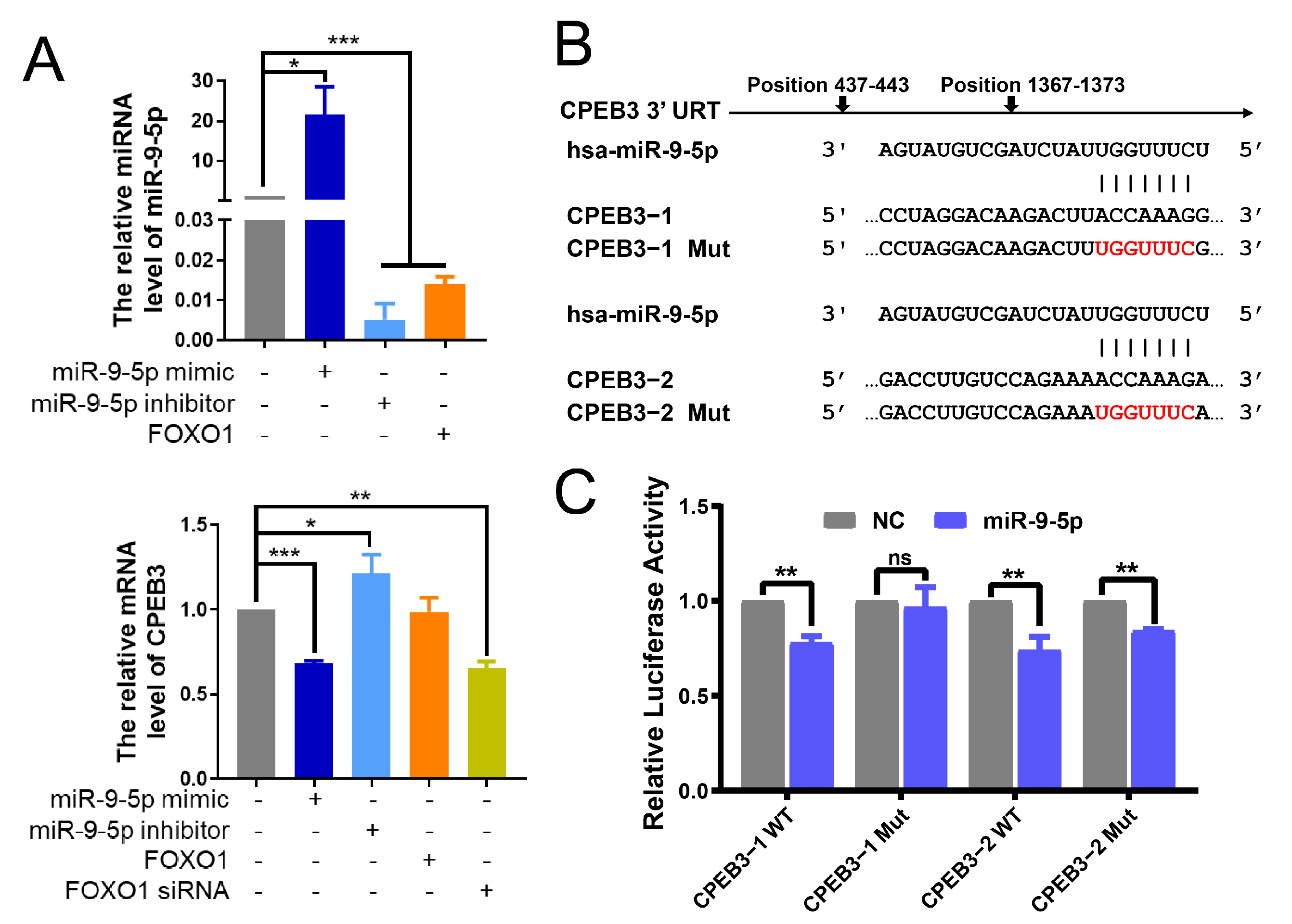 Cells 11 02116 g003 Cells 11 02116 g003