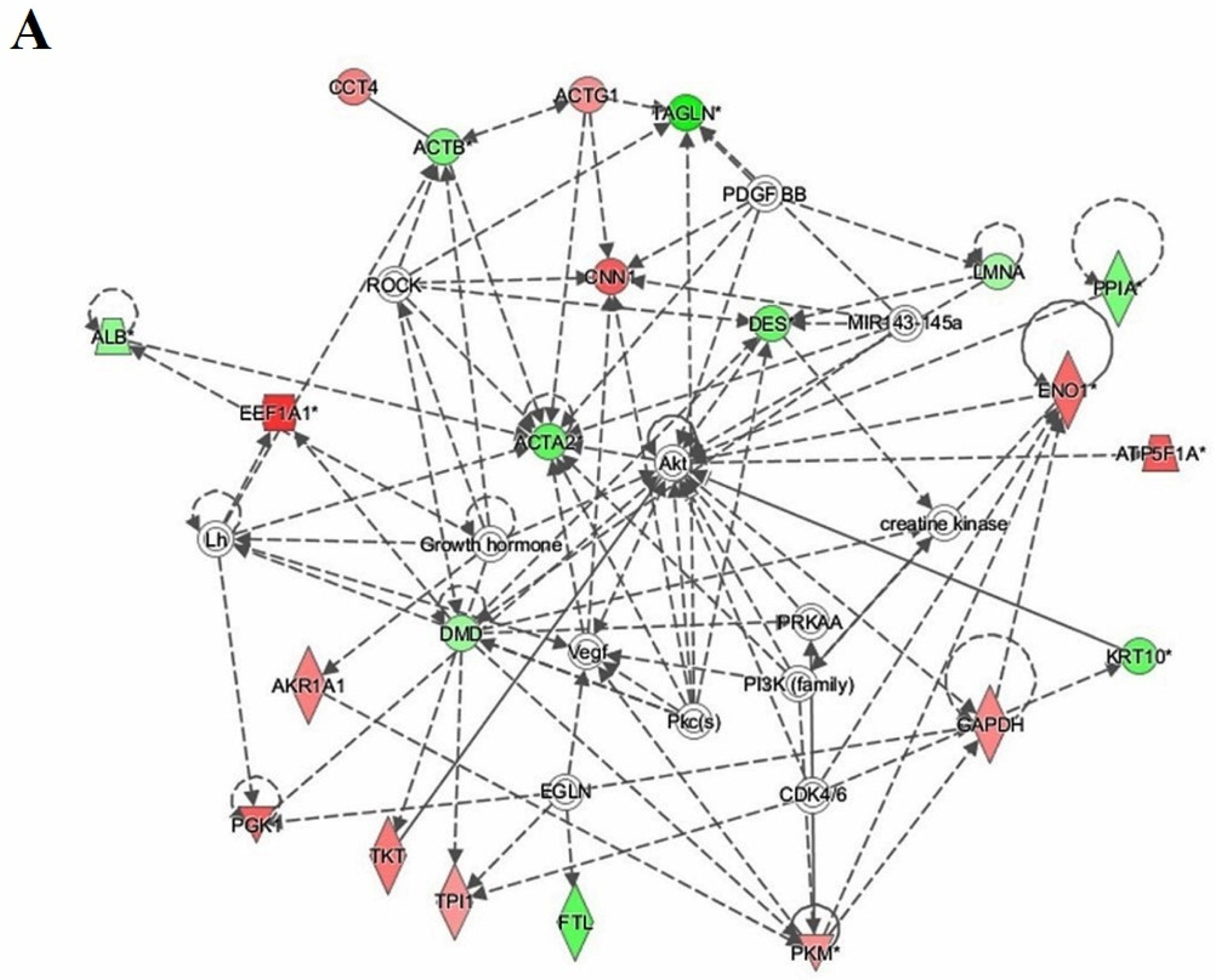 Cells 11 02119 g005a