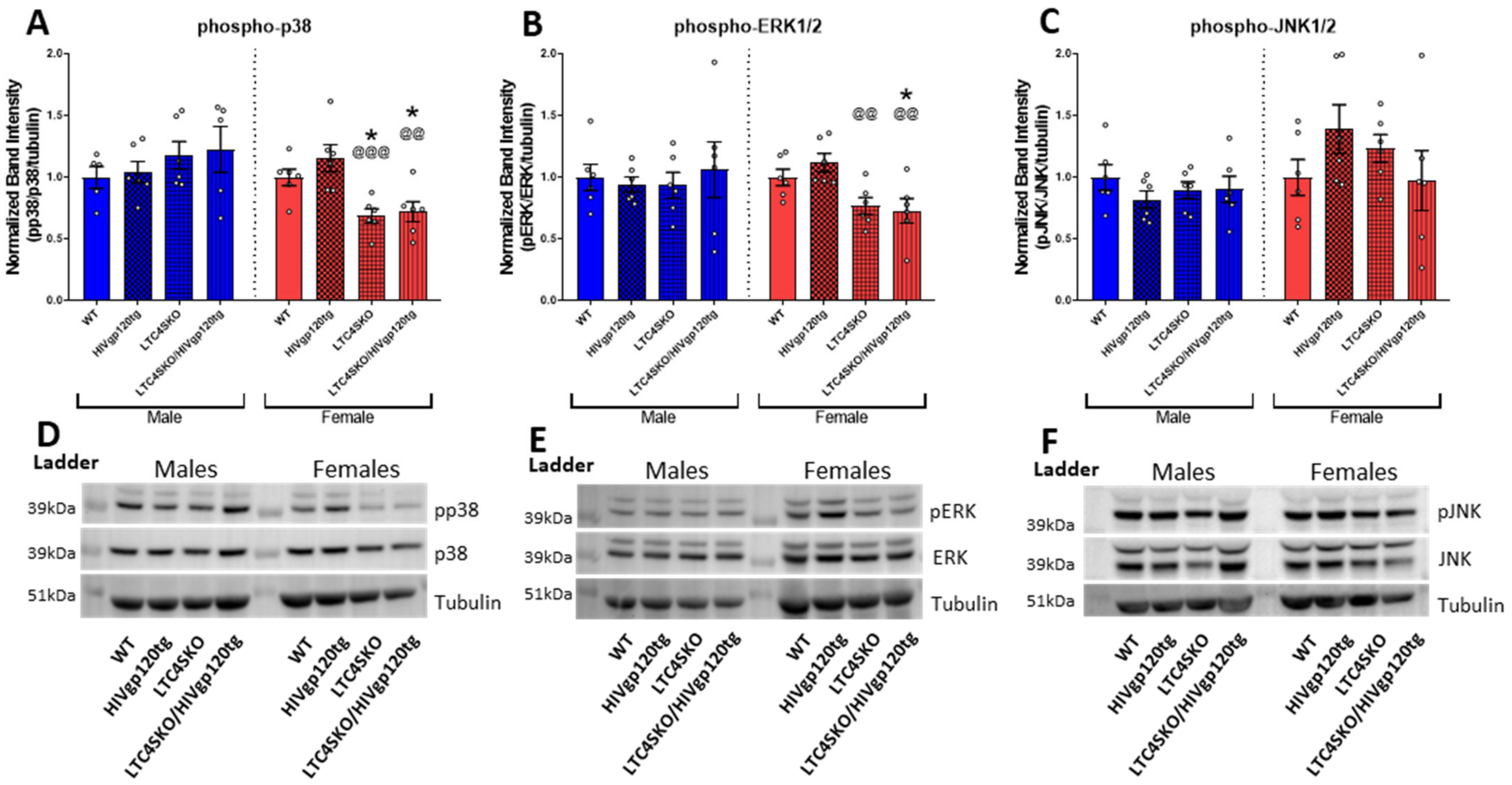 Cells 11 02123 g003 Cells 11 02123 g003