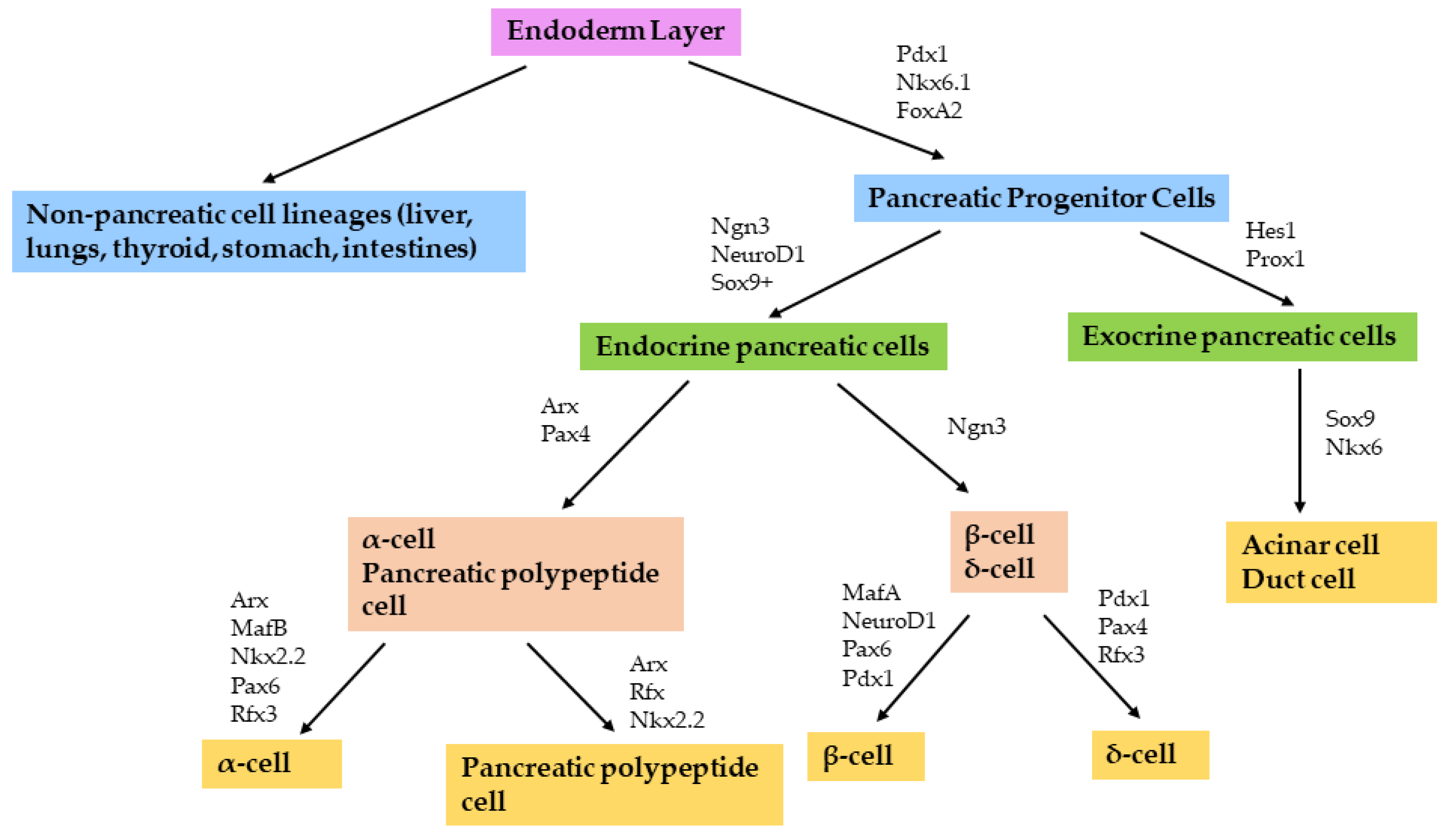 Cells 11 02145 g001 Cells 11 02145 g001